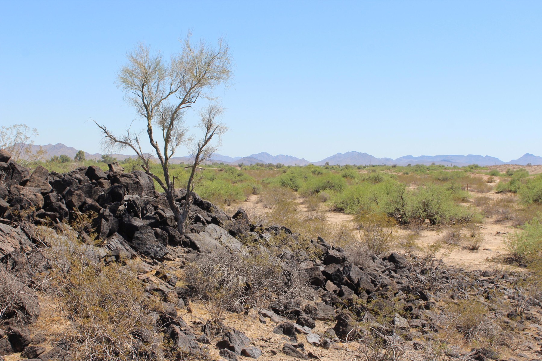  11 S 337th Avenue, Arlington, AZ, 85322 - 物件實景