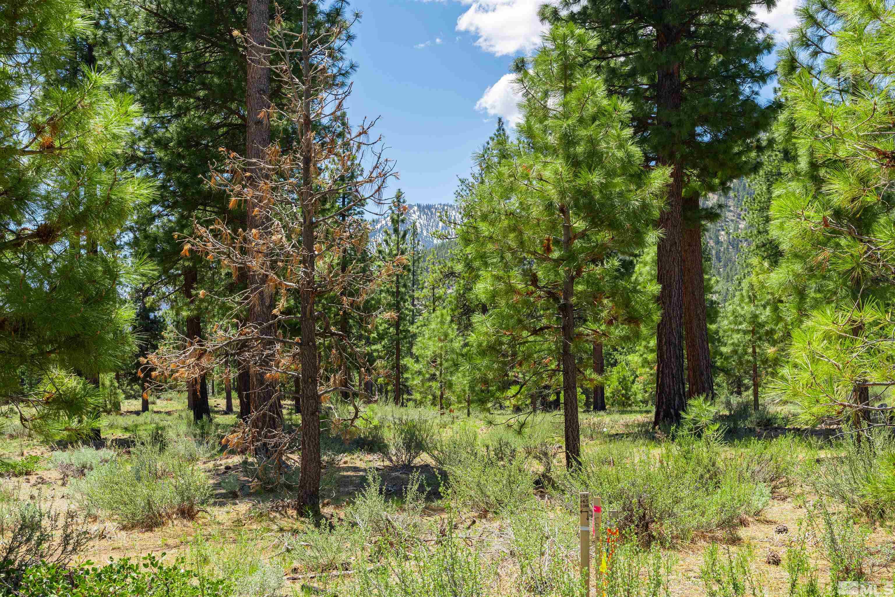 Carson City, Nevada, 89705, United States, ,Land,For Sale,1826407