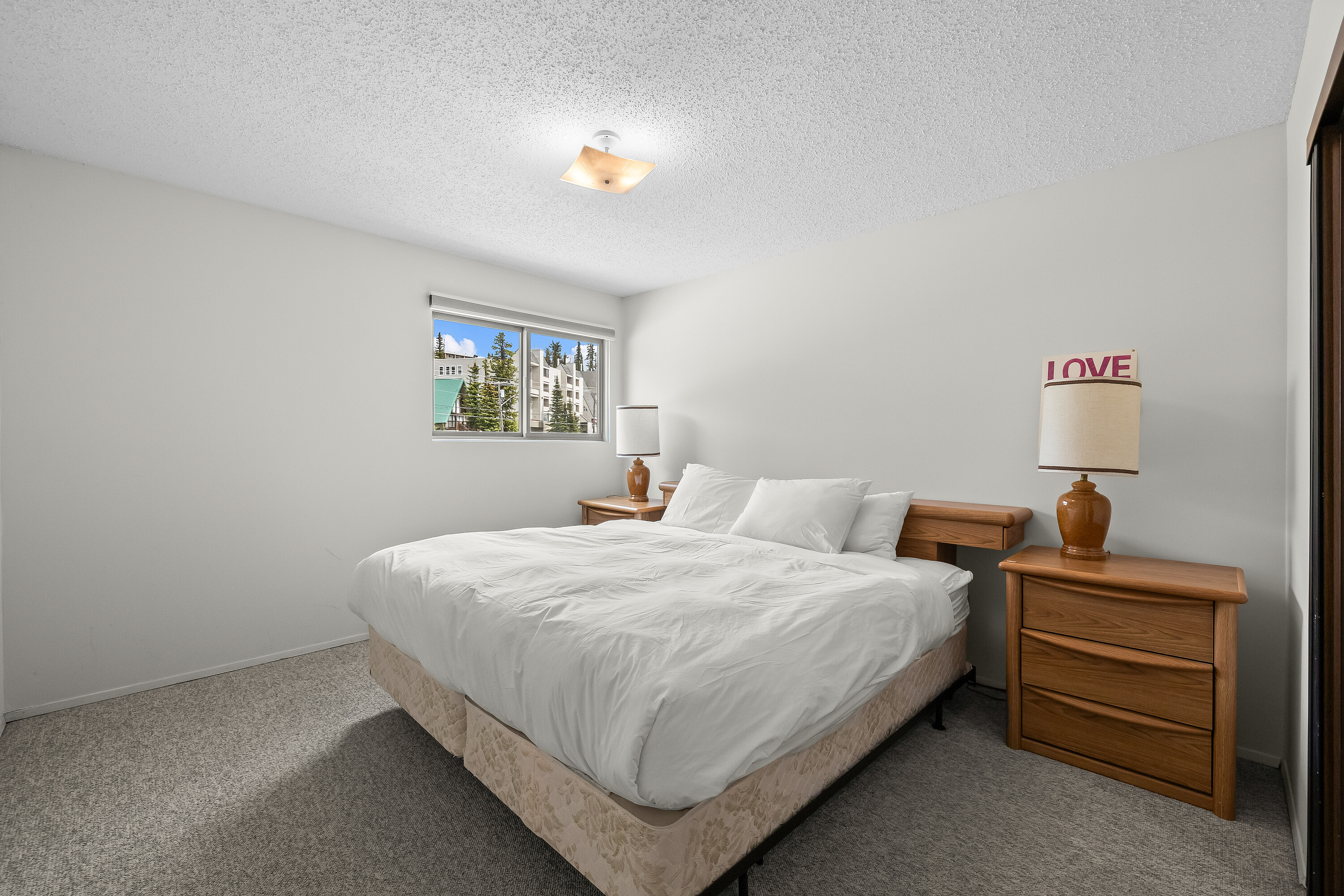  Turn Key Ski Condo - 物件實景