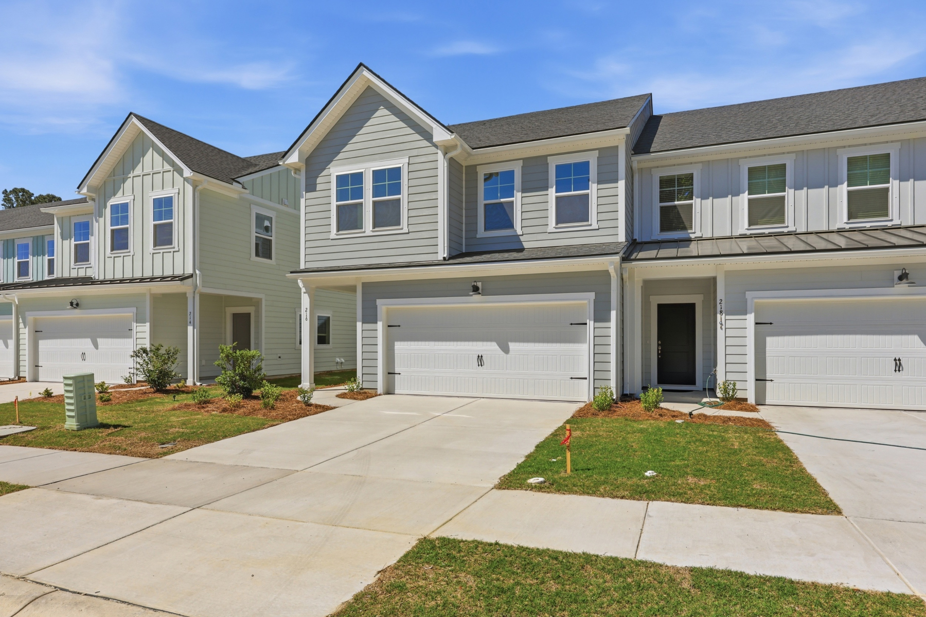  216 Twinleaf Court, Charleston - 物件實景