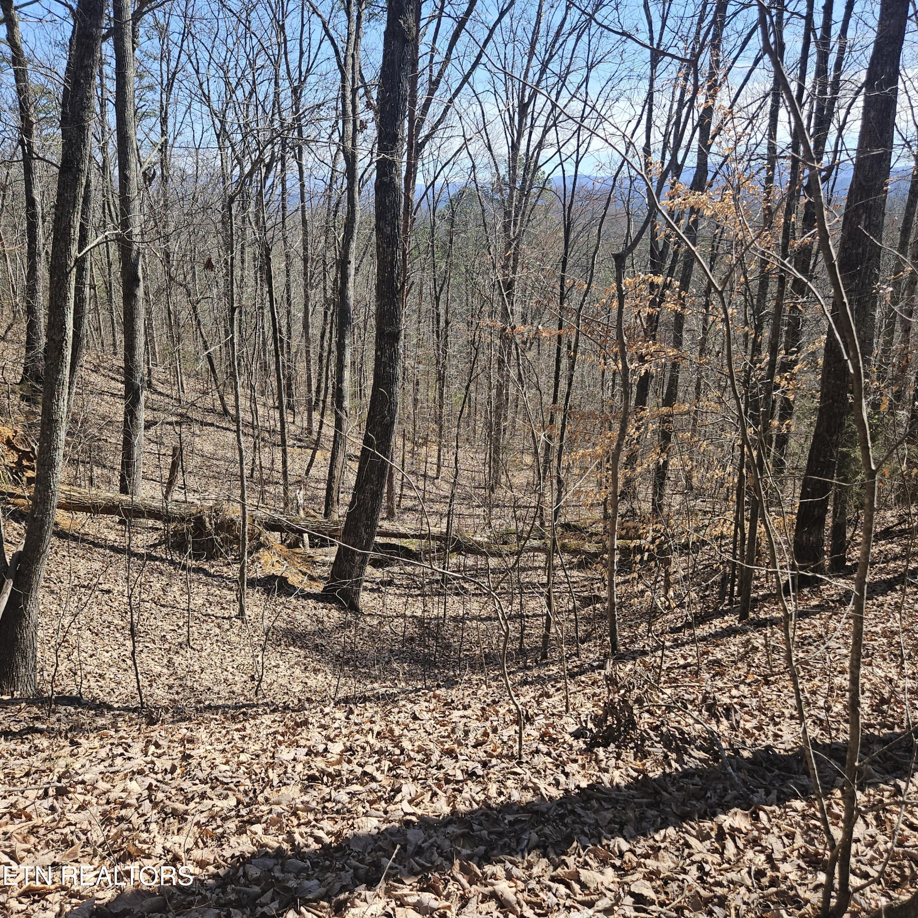 Tellico Plains, Tennessee, 37385, United States, ,Residential,For Sale,1922105