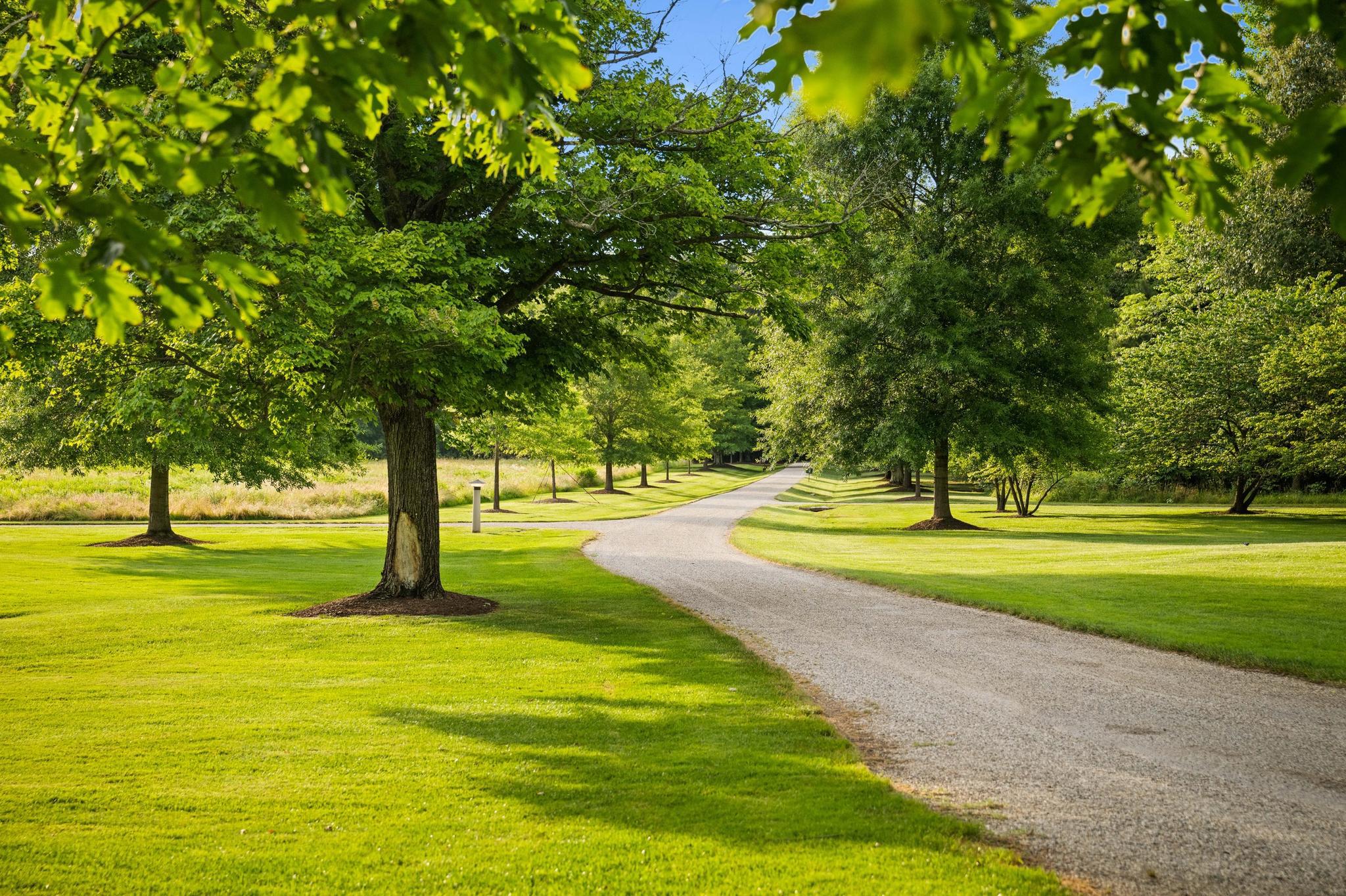  6920 Travelers Rest Circle, Easton, MD, 21601 - 物件實景