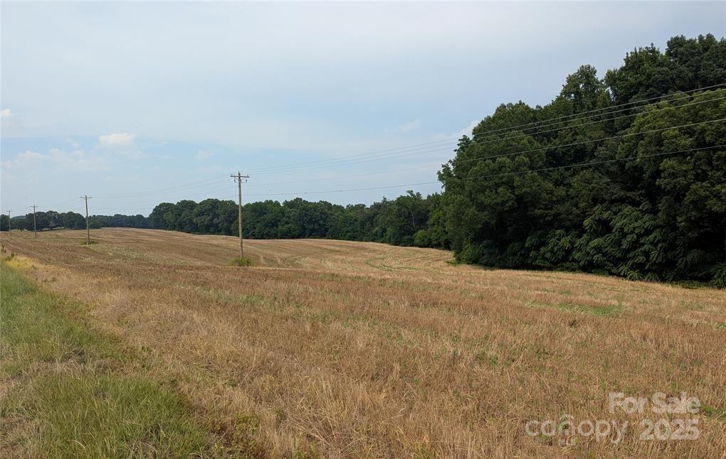 Polkton, North Carolina, 28135, United States, ,Land,For Sale,1976298