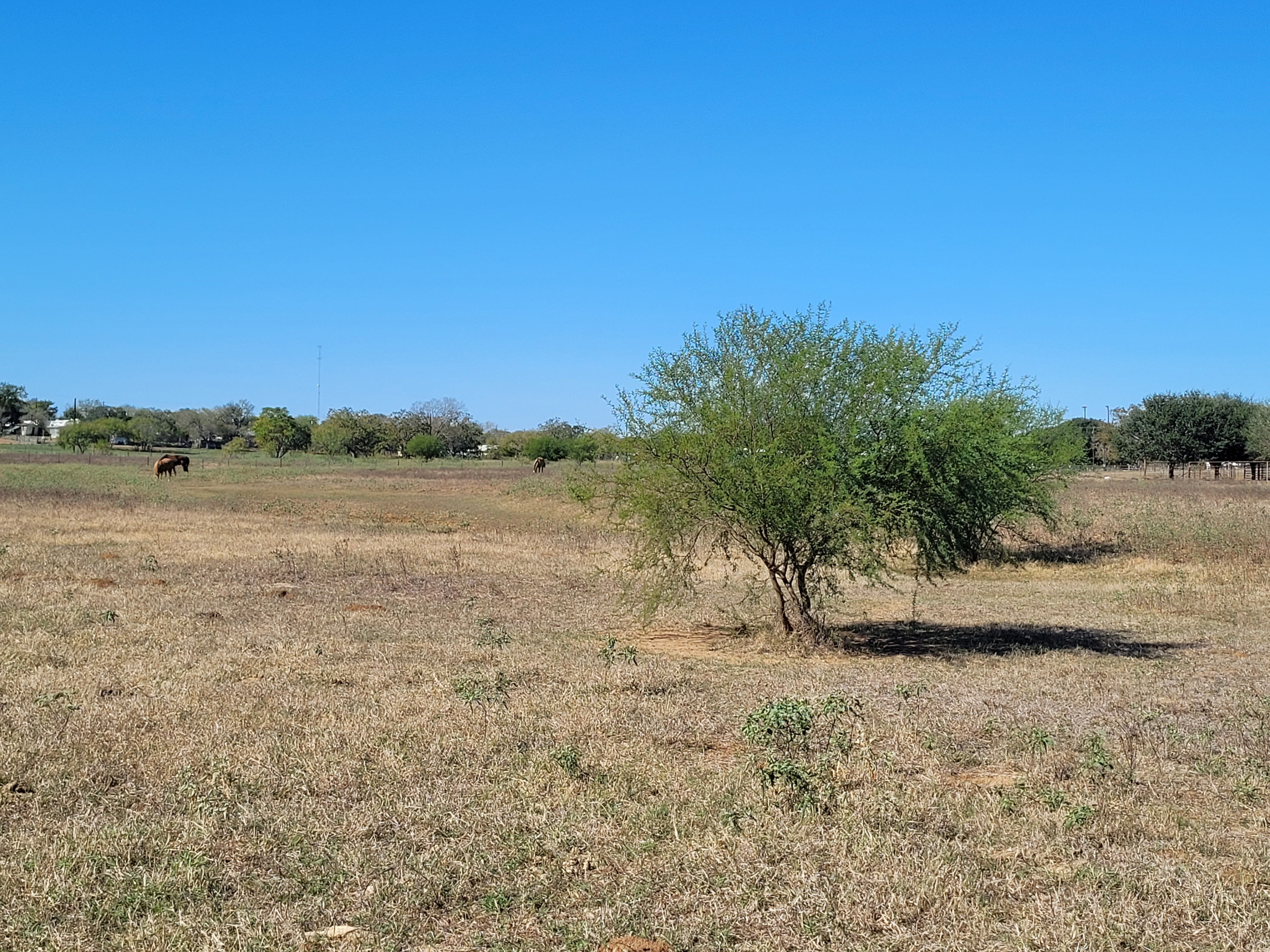 Stockdale, Texas, 78160, United States, 2 Bedrooms Bedrooms, ,1 BathroomBathrooms,Residential,For Sale,1990208