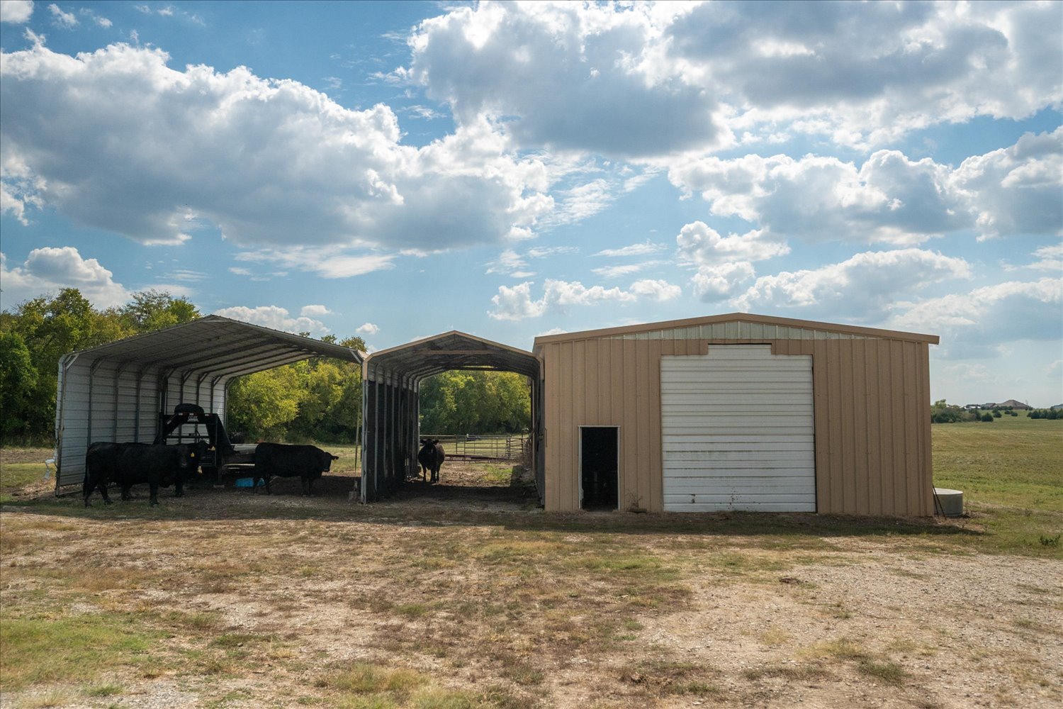 Celeste, Texas, 75423, United States, ,Land,For Sale,1983780