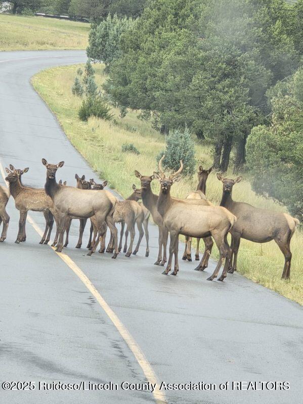 Alto, New Mexico, 88312, United States, 2 Bedrooms Bedrooms, ,2 BathroomsBathrooms,Residential,For Sale,2013285