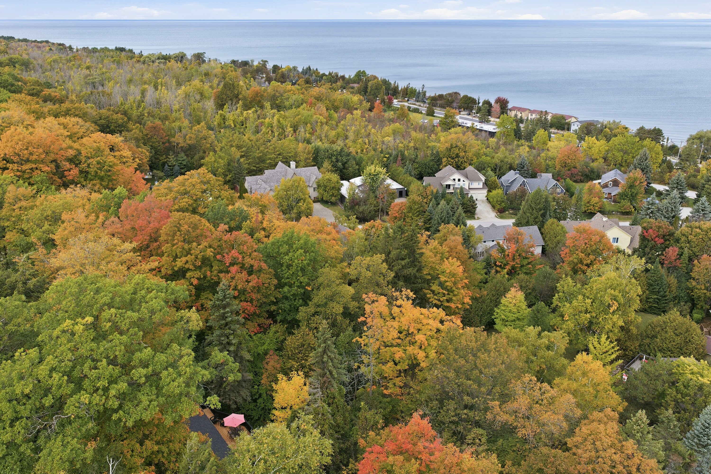  Craigleith Hillside Chalet - 物件實景
