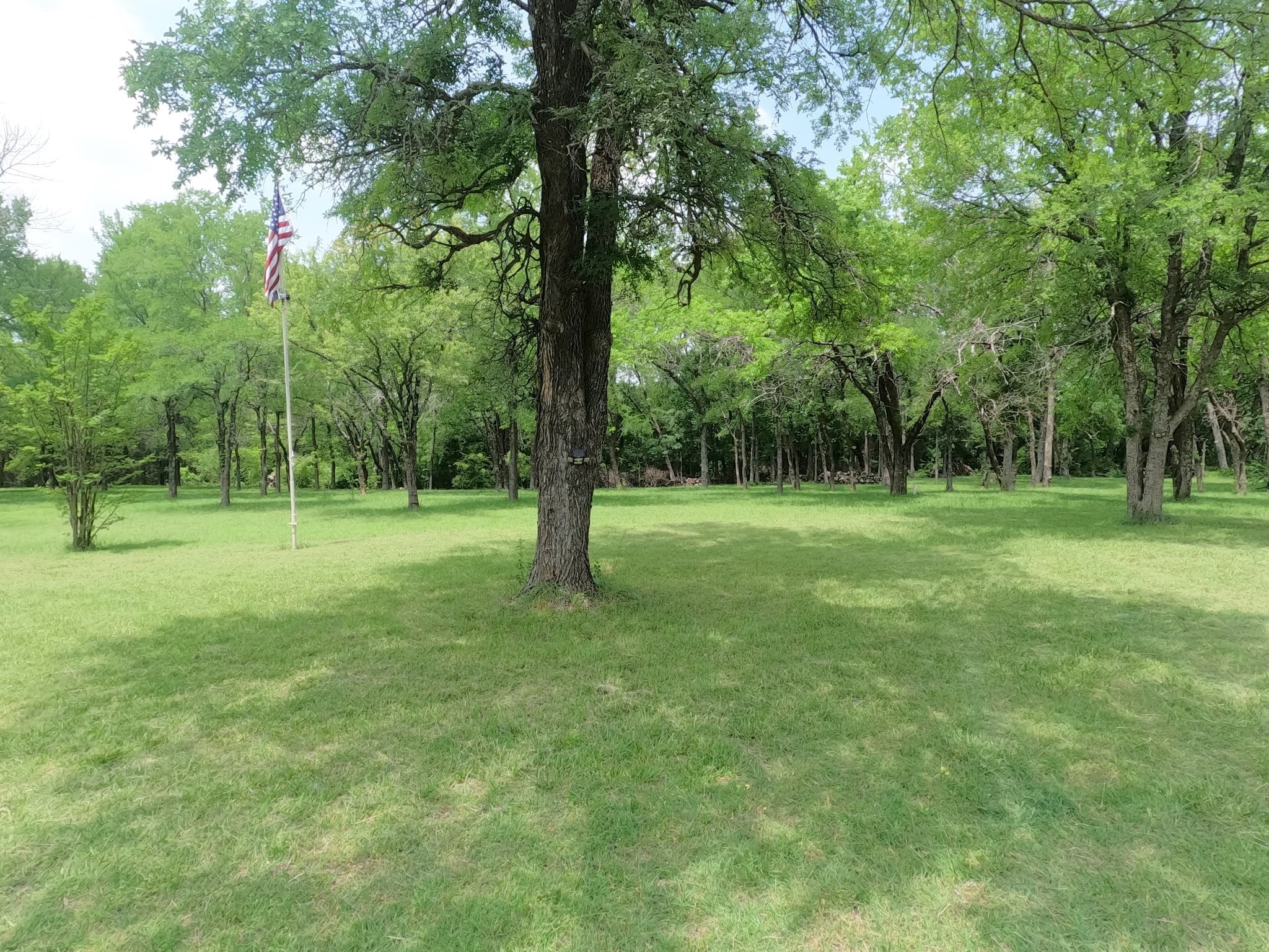 Van Alstyne, Texas, 75495, United States, ,Land,For Sale,1840644