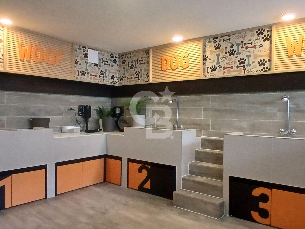 Ñuñoa, Chile, 2 Bedrooms Bedrooms, ,2 BathroomsBathrooms,Residential,For Sale,1991436