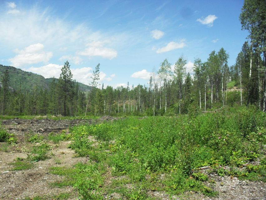 Northport, Washington, 99157, United States, ,Land,For Sale,1982244