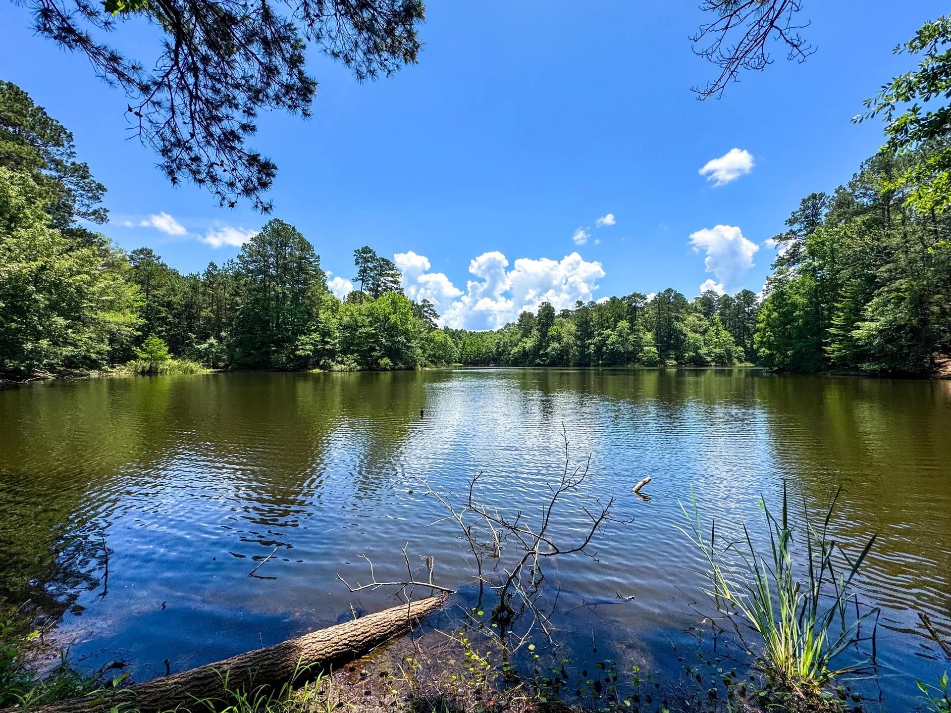 Douglassville, Texas, 75560, United States, ,Land,For Sale,2048006