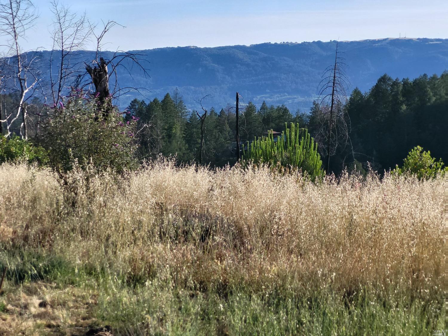 6200 cavedale RD, Glen Ellen, California, 95442, United States, 4 Bedrooms Bedrooms, ,4 BathroomsBathrooms,Residential,For Sale,6200 cavedale RD,1341783