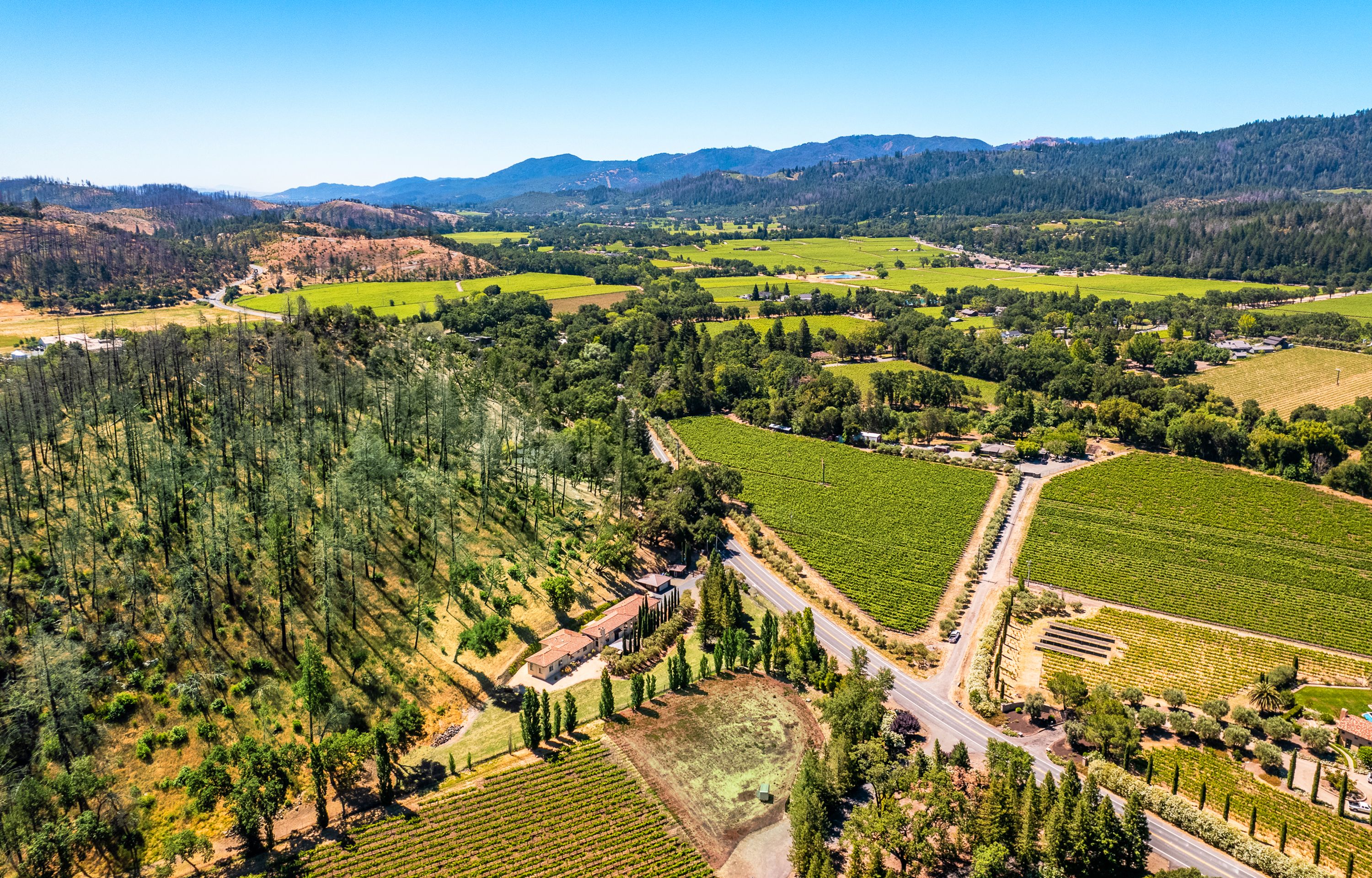  Stunning Mediterranean Estate - 物件實景