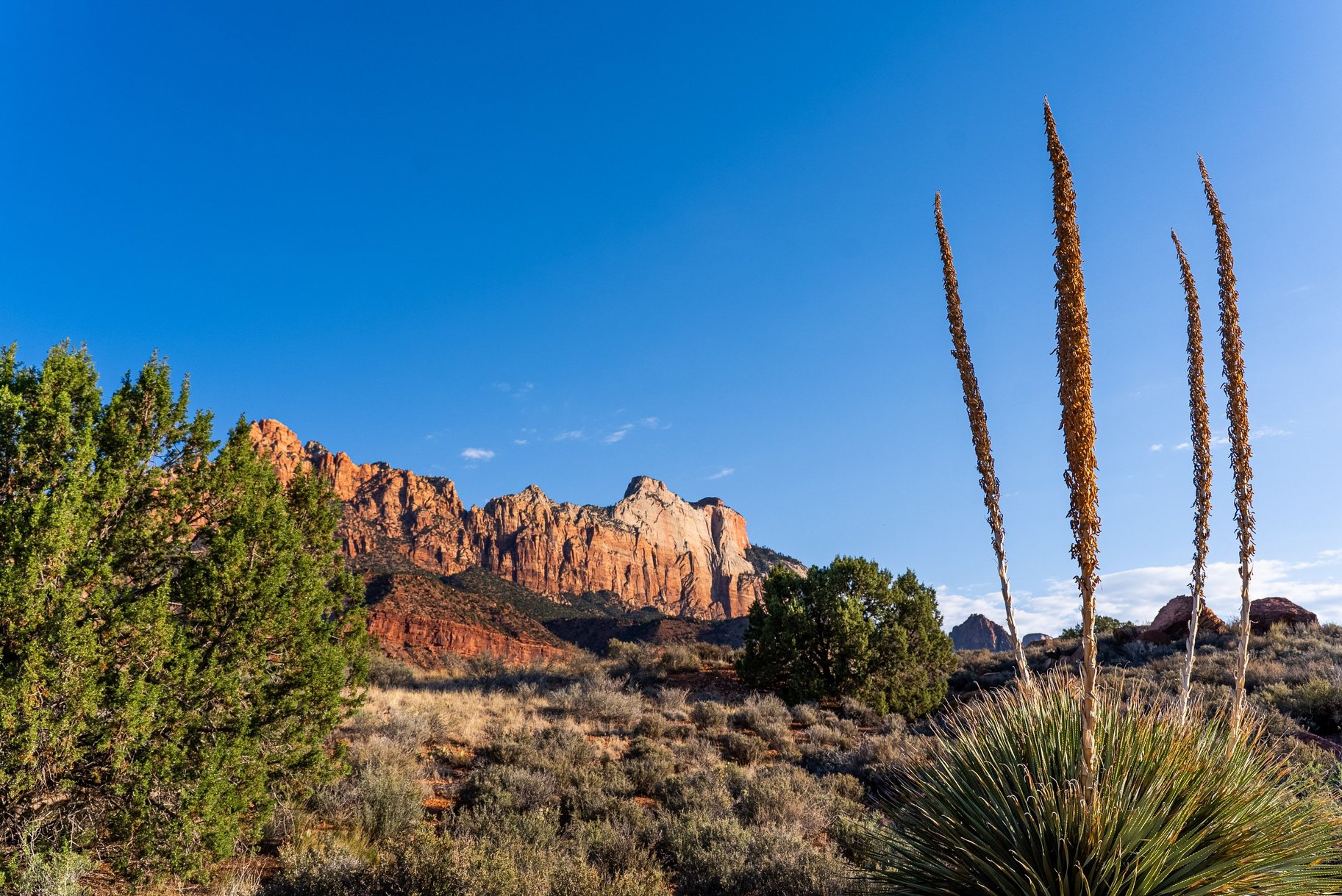  Zion Foothill Masterpiece - 物件實景