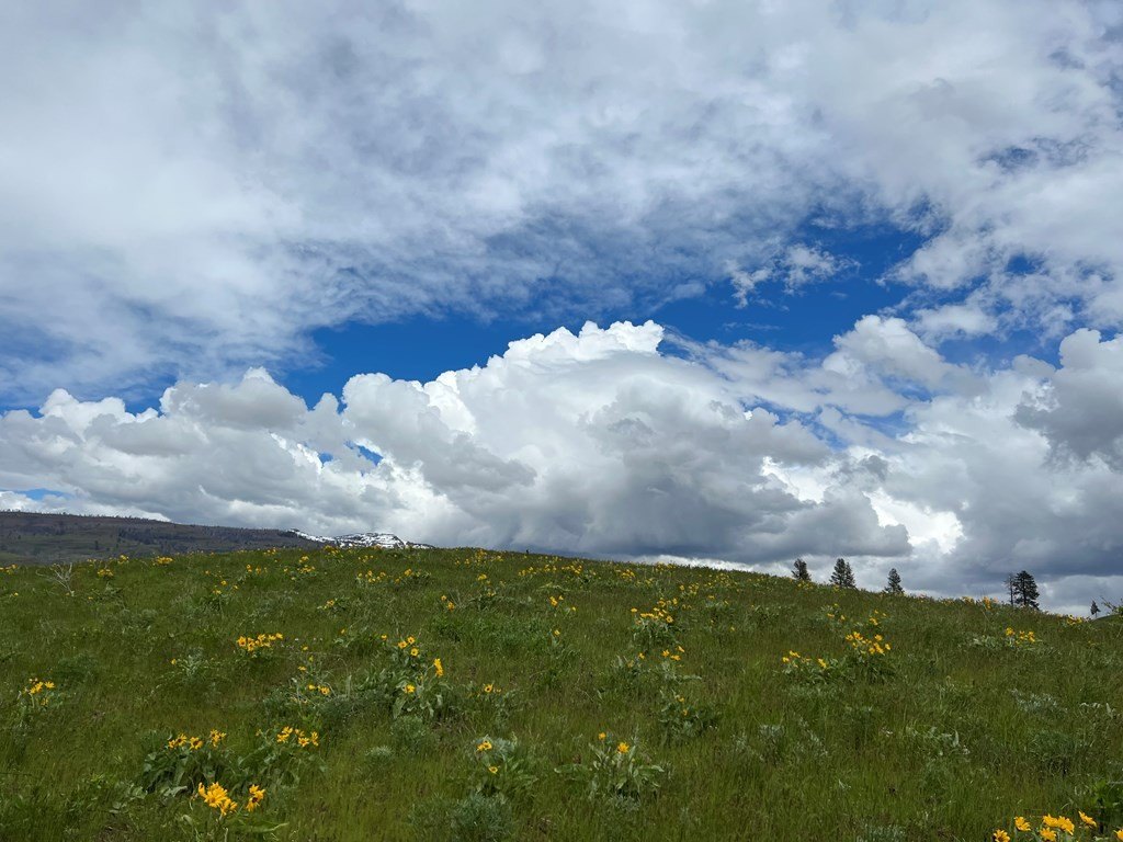 Council, Idaho, 83612, United States, ,Residential,For Sale,1935833