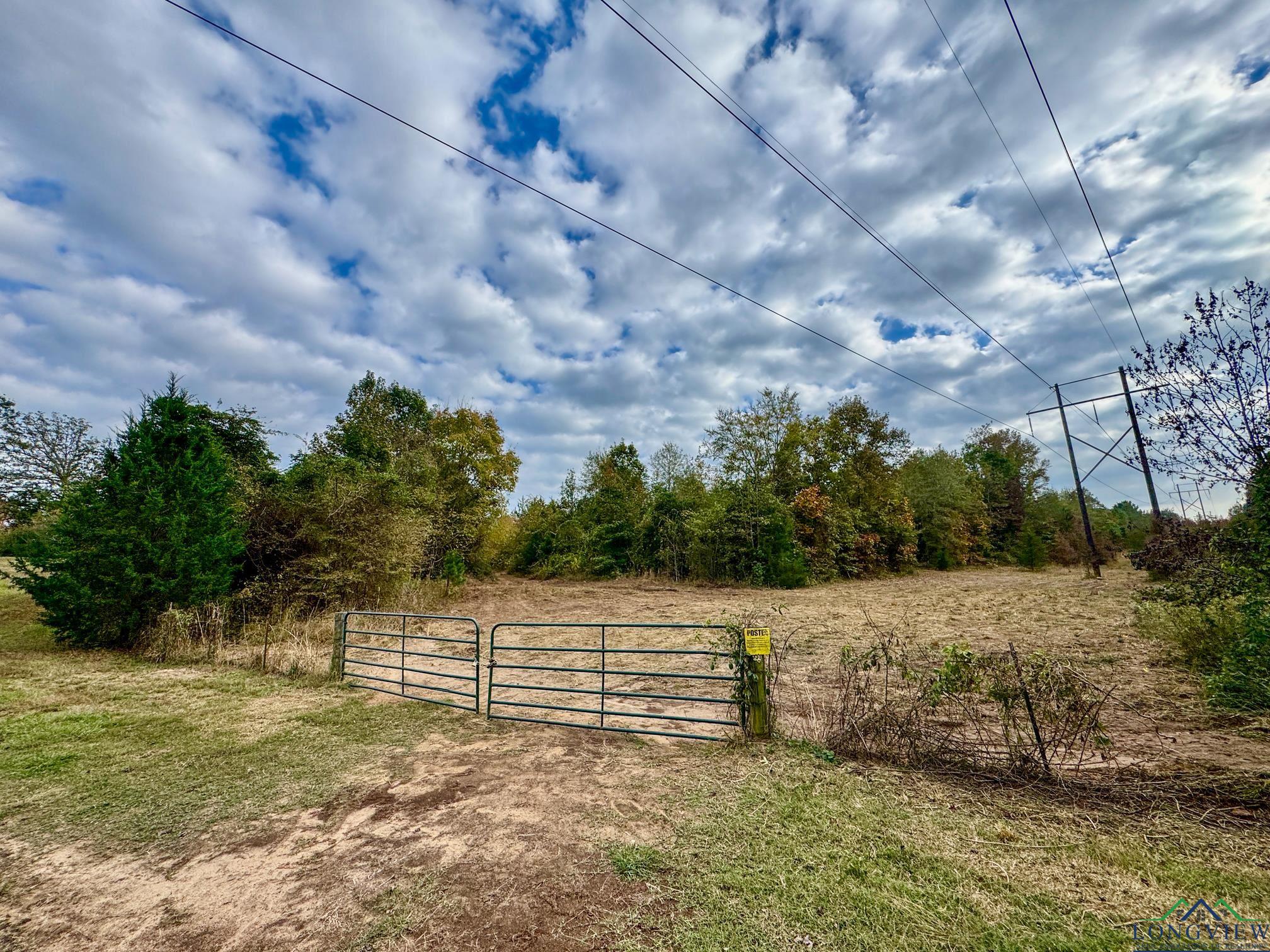 Marietta, Texas, 75566, United States, ,Land,For Sale,1977958