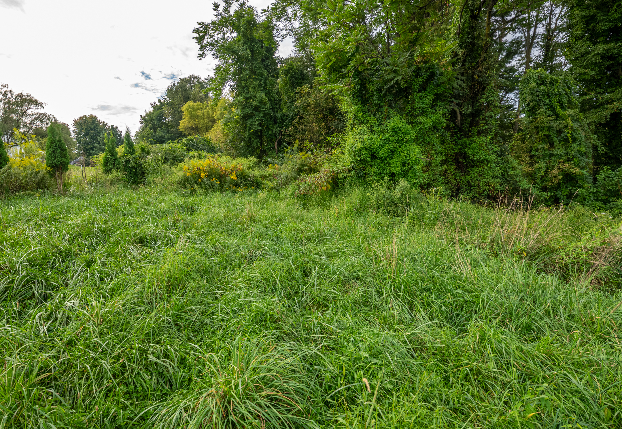  0 River Rd, Pequea, PA 17565 - 物件實景