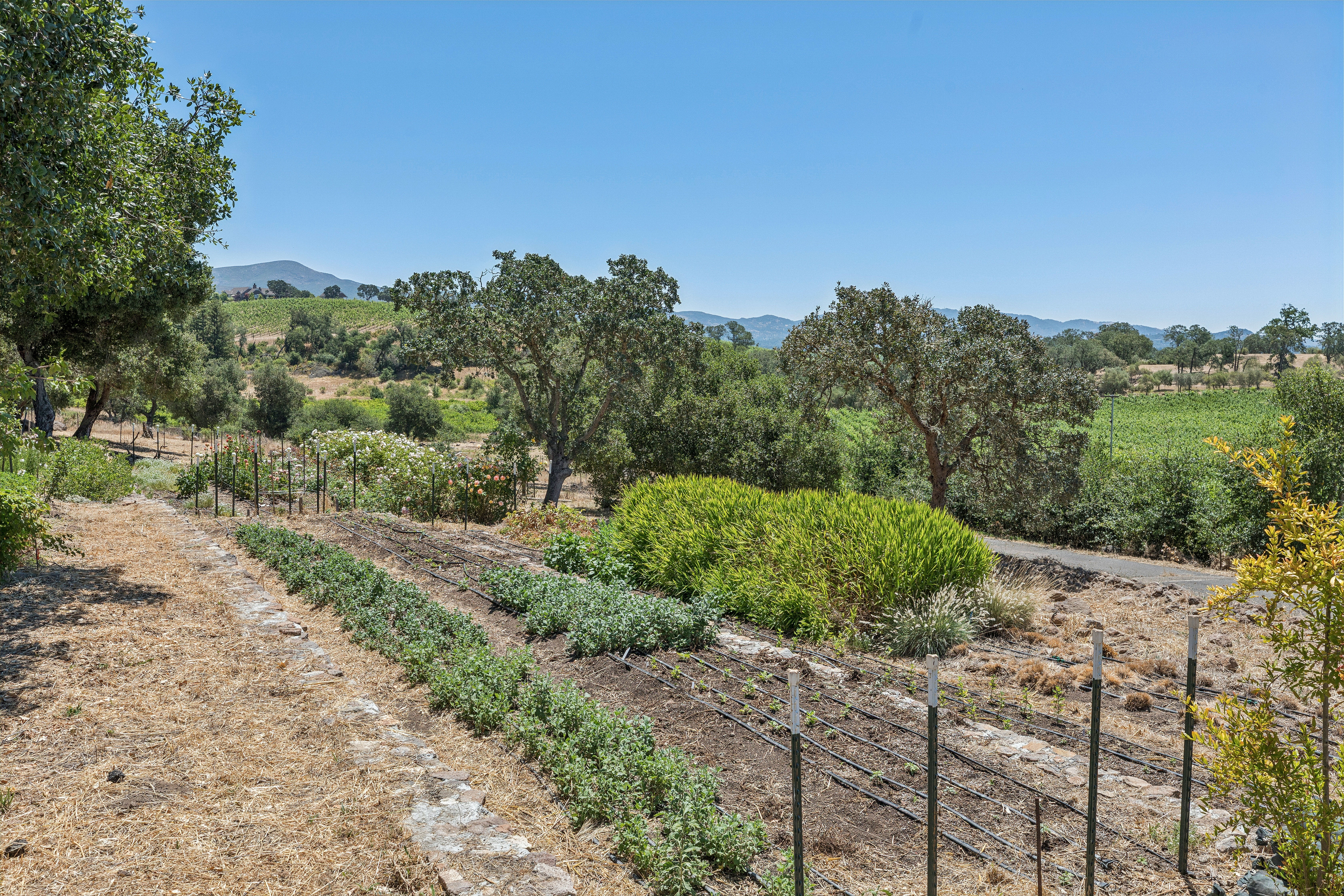  Refined Wine Country Estate - 物件實景