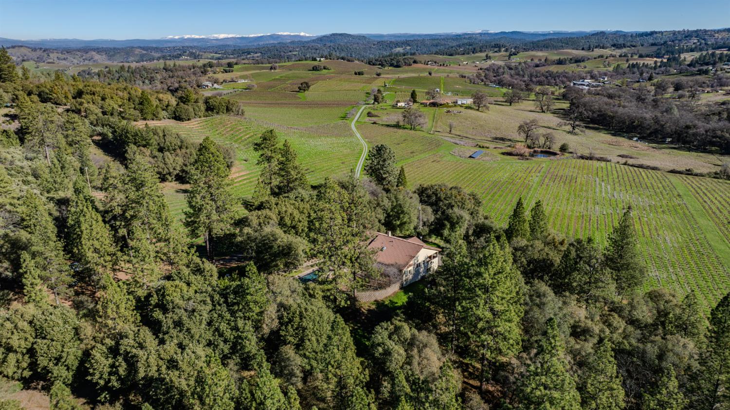 Plymouth, California, 95669, United States, 3 Bedrooms Bedrooms, ,3 BathroomsBathrooms,Residential,For Sale,1979143