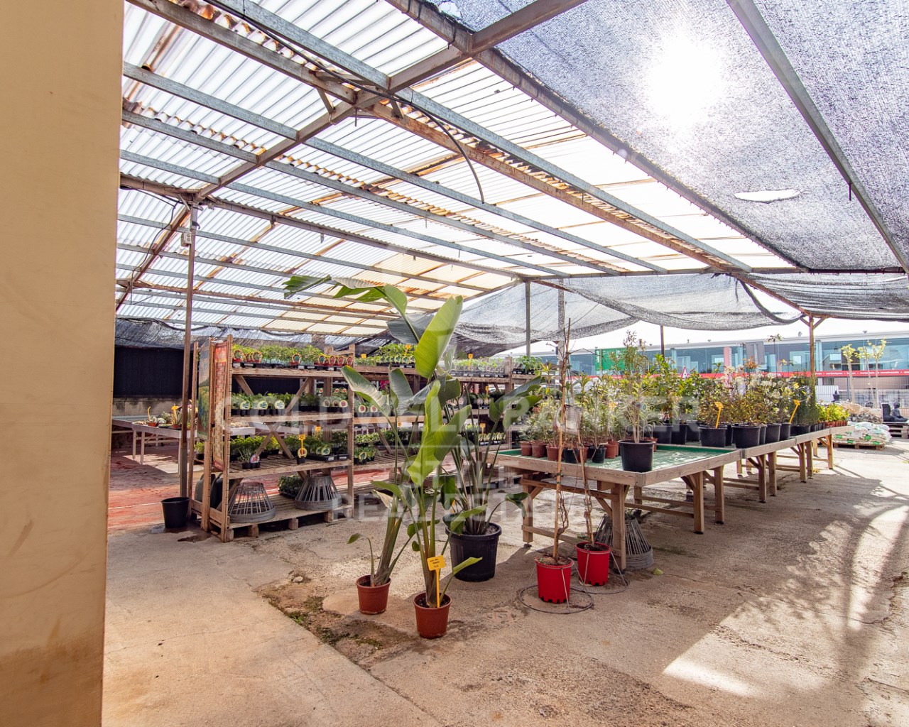 Carrer del Xoriguer Barcelona, Terrassa, Can Palet, Terrassa, Catalonia, 08224, ES, 6 Bedrooms Bedrooms, ,4 BathroomsBathrooms,Residential,For Sale,Carrer del Xoriguer Barcelona, Terrassa, Can Palet,1613953