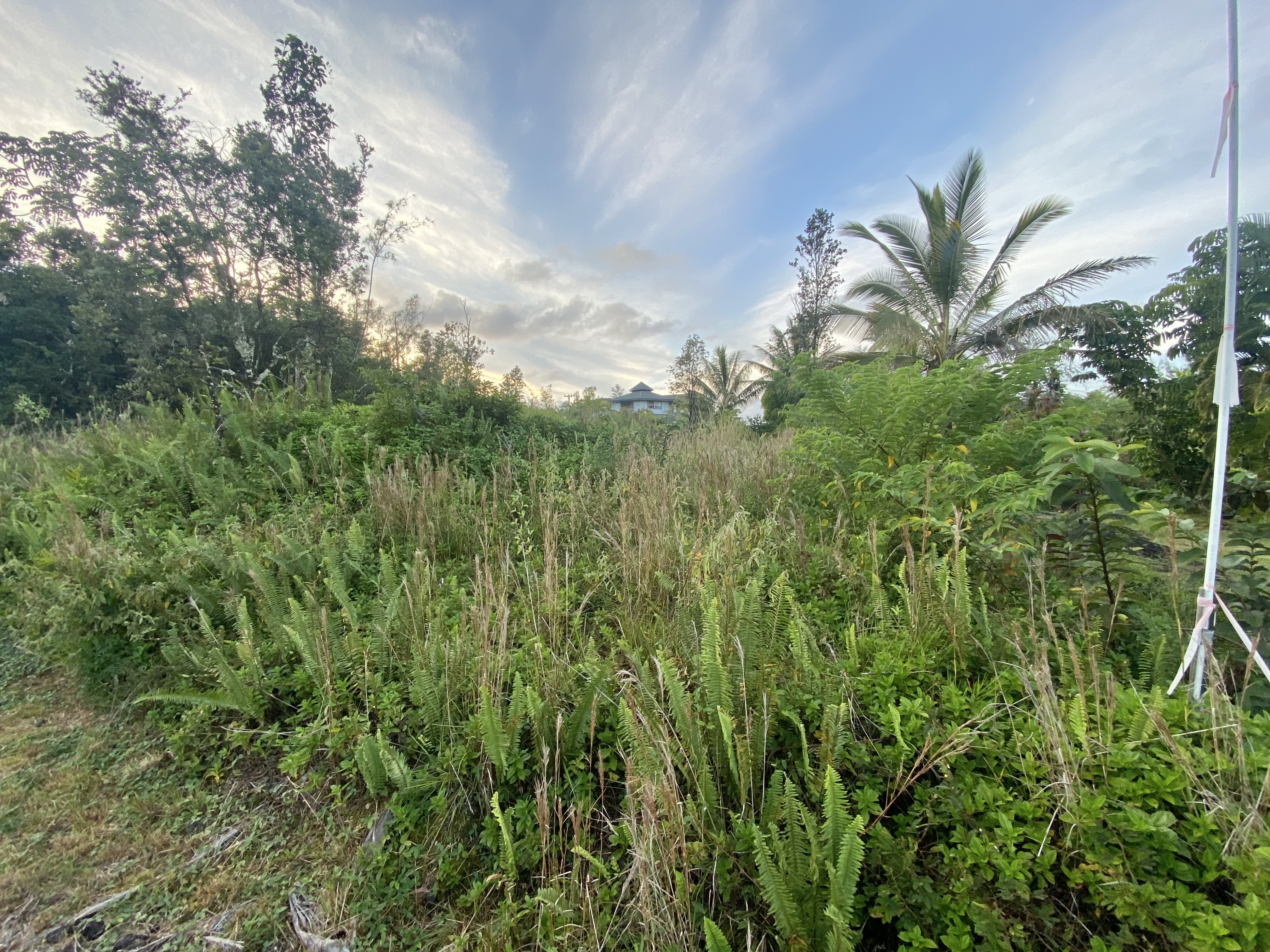 15-1969 Beach Road Keaau, HI, 96749 