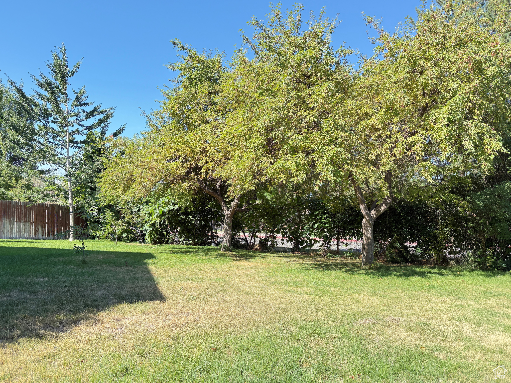 Orem, Utah, 84057, United States, 4 Bedrooms Bedrooms, ,3 BathroomsBathrooms,Residential,For Sale,1917303
