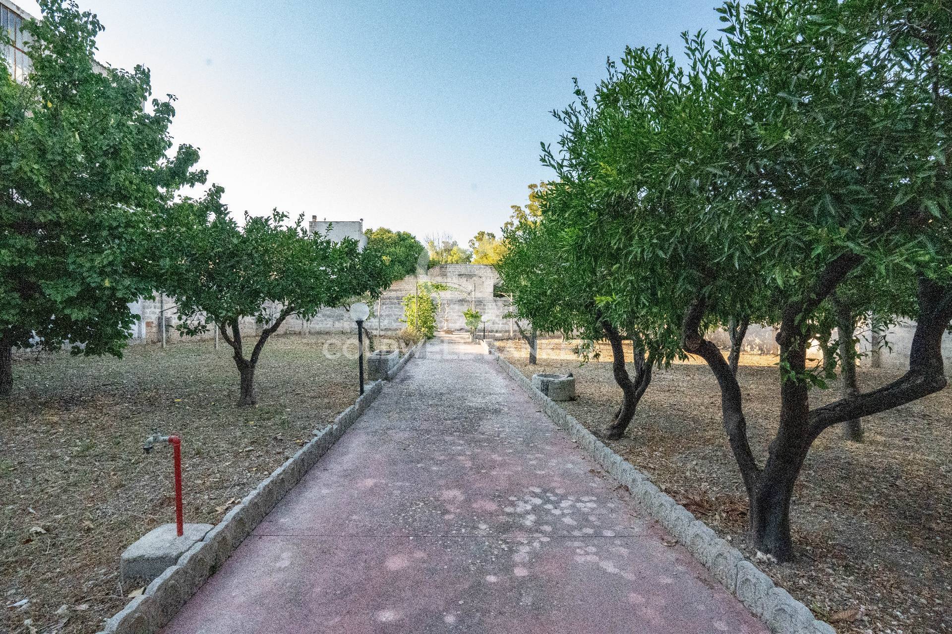 Viale della Repubblica, Aradeo, Lecce, 73040, IT, 6 Bedrooms Bedrooms, ,5 BathroomsBathrooms,Residential,For Sale,Viale della Repubblica,1442531