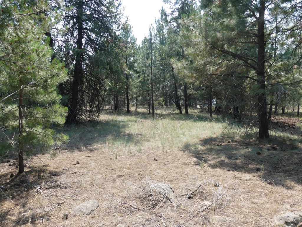 McCall, Idaho, 83638, United States, ,Land,For Sale,2005964