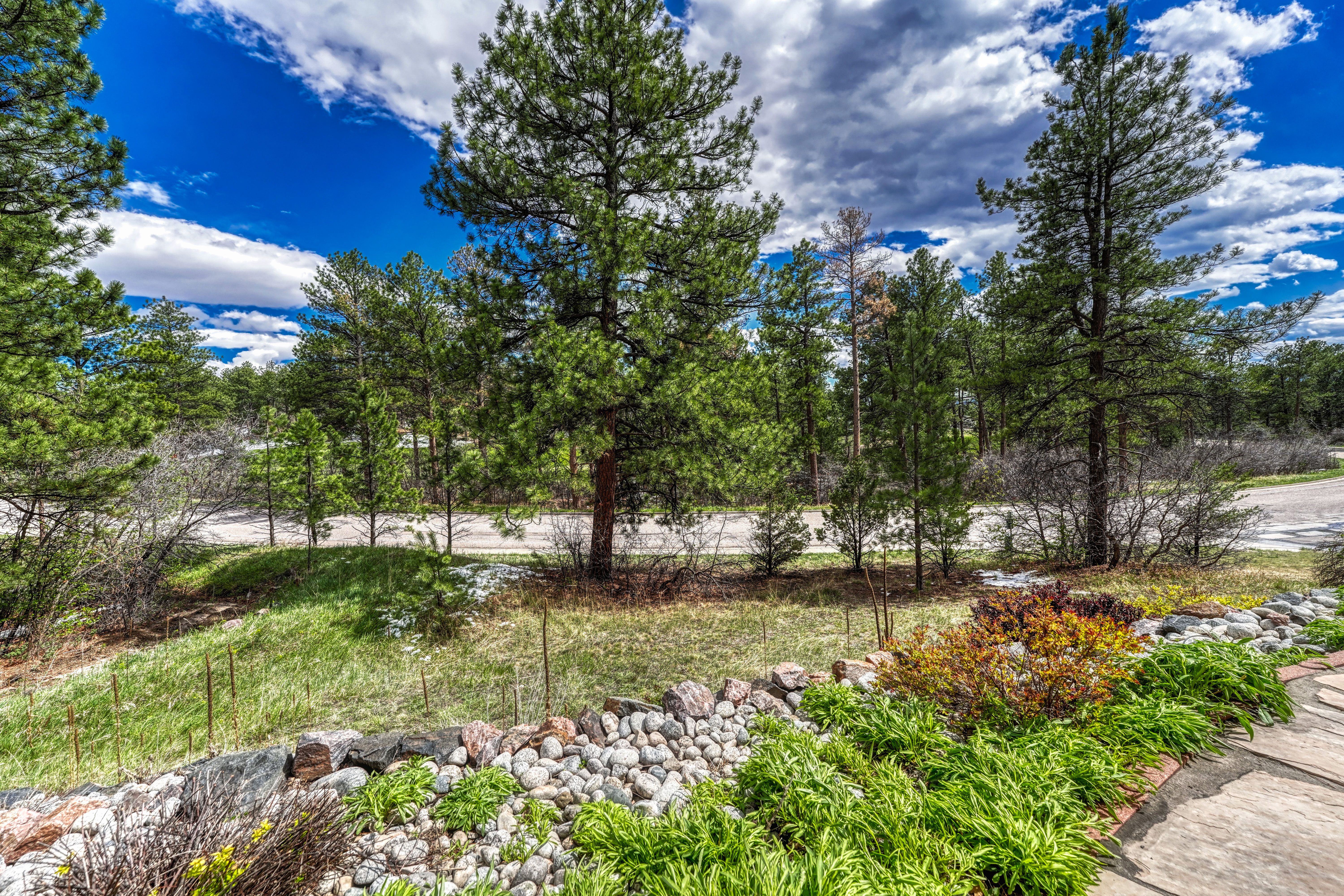  Forest Park Ranch Home with Golf Course Views - 物件實景
