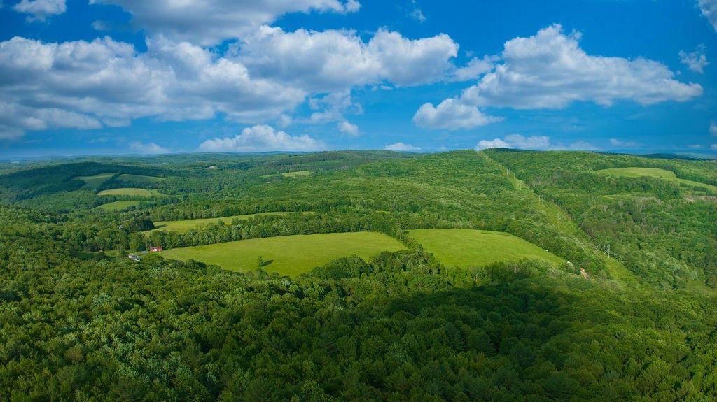 Sidney Center, New York, 13839, United States, 5 Bedrooms Bedrooms, ,3 BathroomsBathrooms,Residential,For Sale,1868911