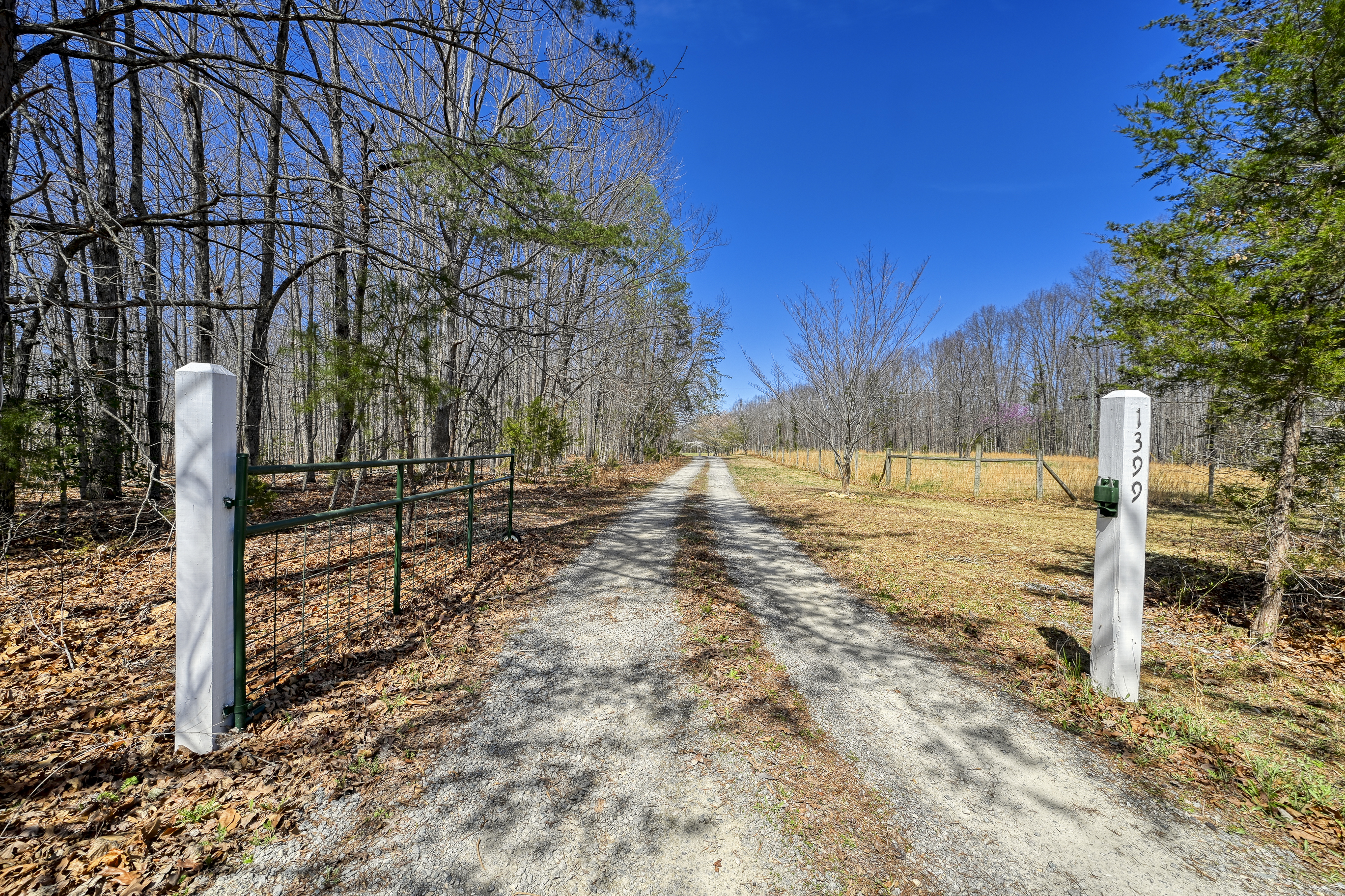  1399 Apple Grove Road, Mineral, VA 23117 - 物件實景