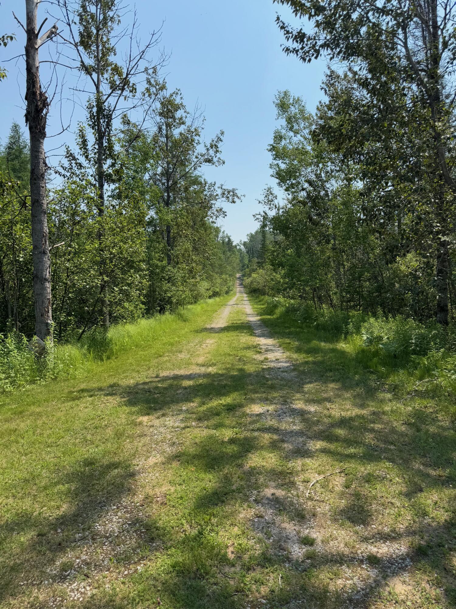 Wolverine, Michigan, 49799, United States, 2 Bedrooms Bedrooms, ,2 BathroomsBathrooms,Residential,For Sale,1885505