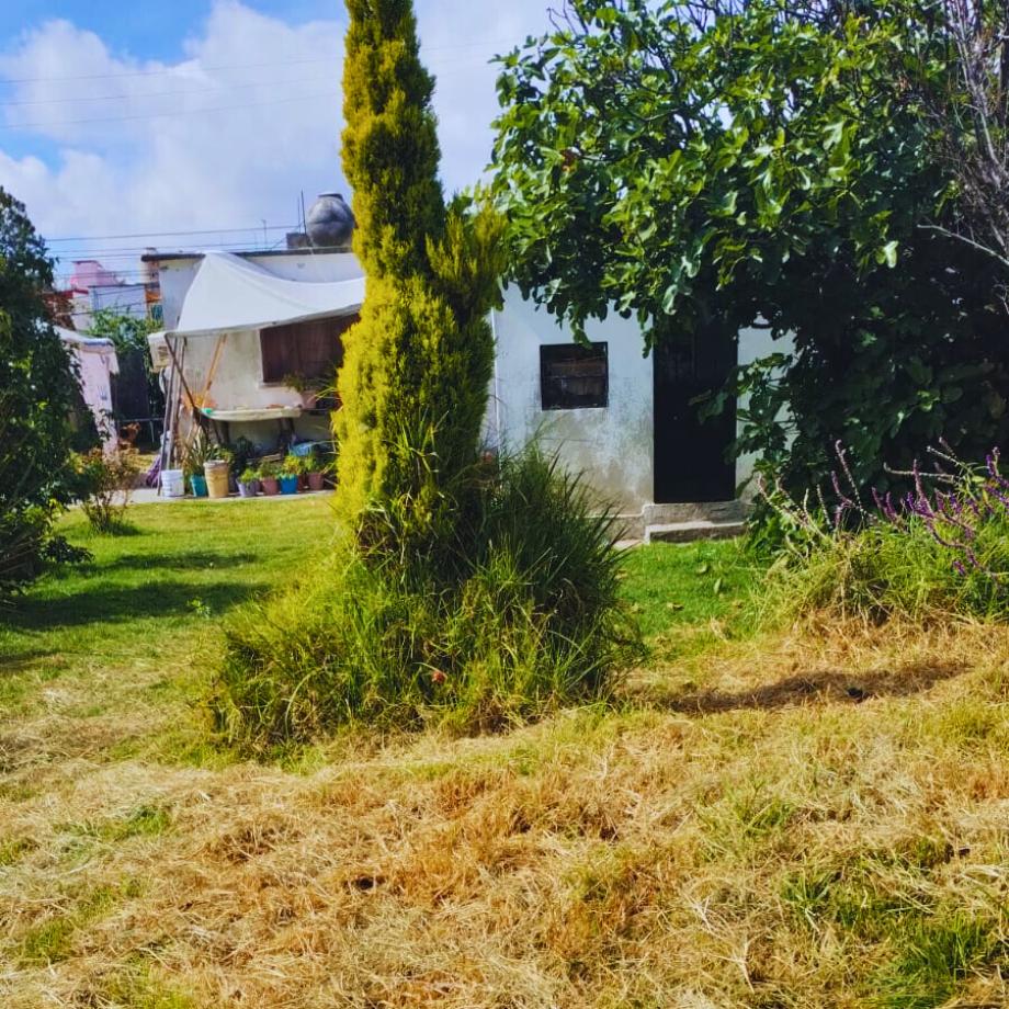 GONZALEZ Y PICHARDO, Toluca, Estado de méxico, 50120, Mexico, 1 Bedroom Bedrooms, ,Residential,For Sale,GONZALEZ Y PICHARDO,1521607