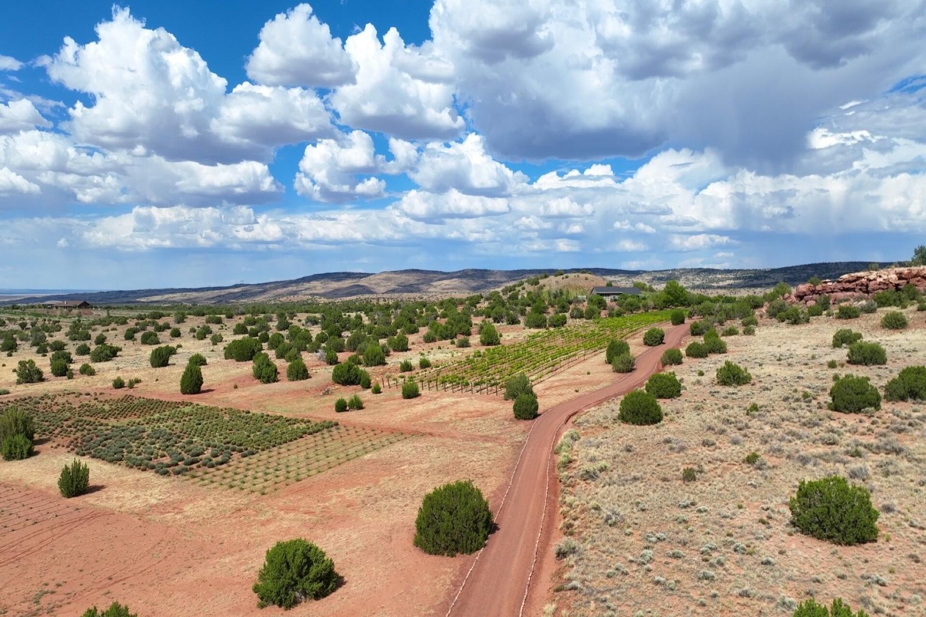  14 County Road 5309, Concho, AZ 85924 - 物件實景
