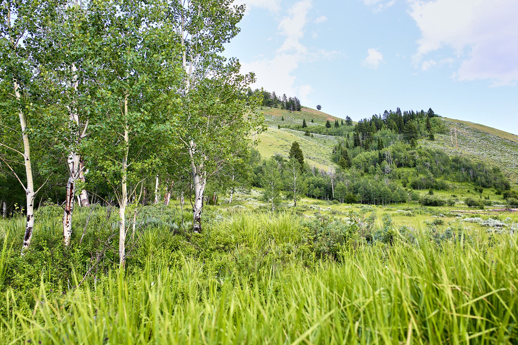  Snake River Sporting Club Lot - 物件實景