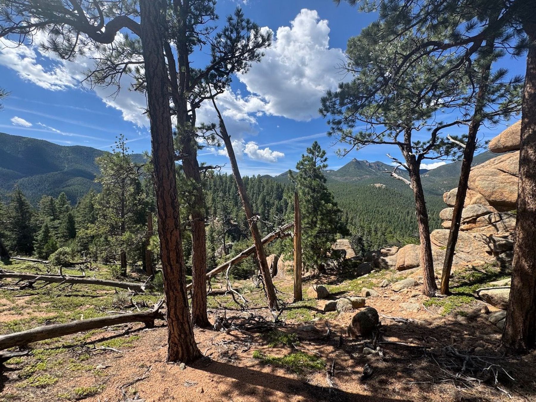  MOUNTAIN SANCTUARY HIGH ABOVE THE BROADMOOR - 物件實景