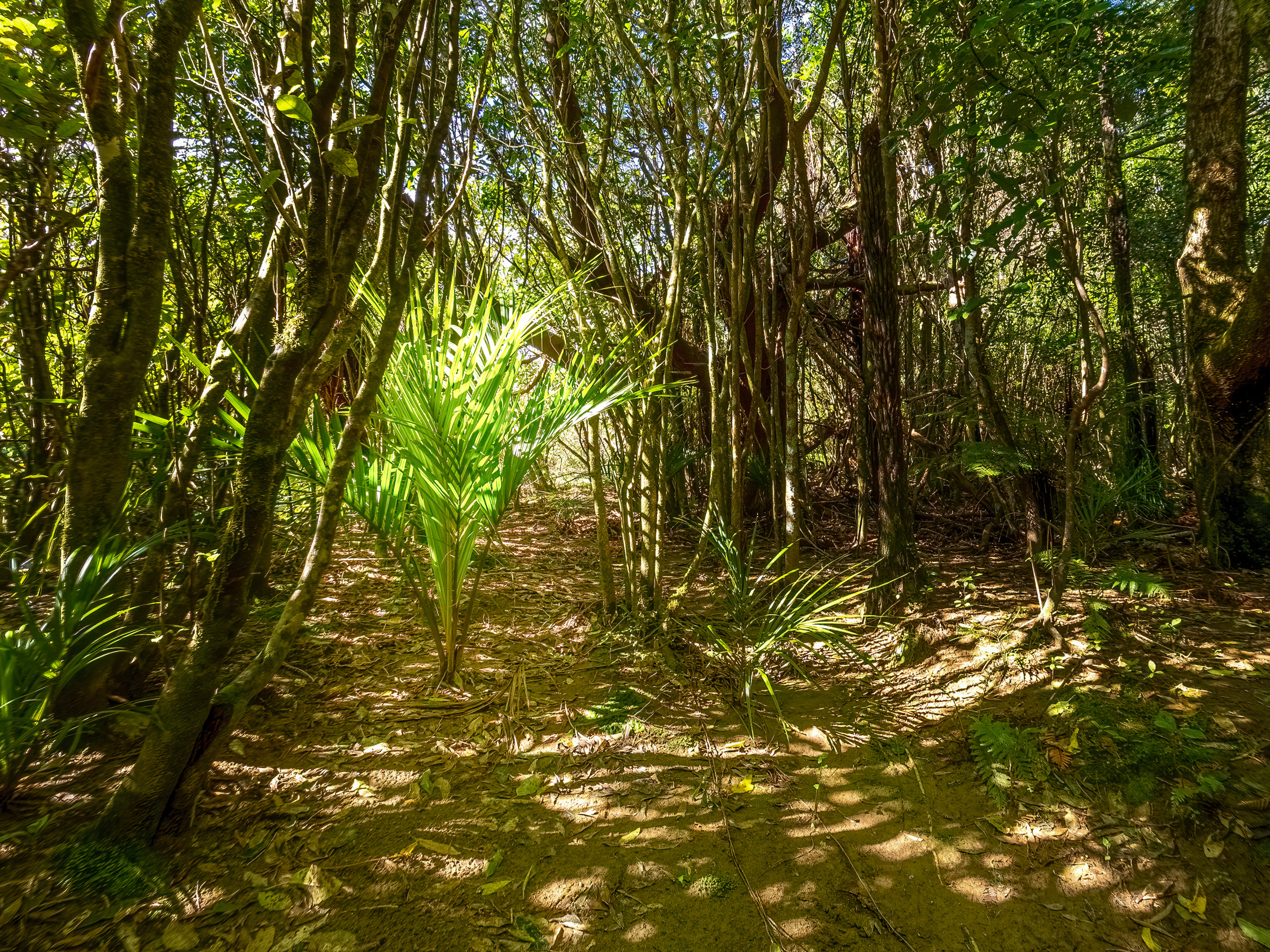  Ultimate West Coast Escape - 物件實景