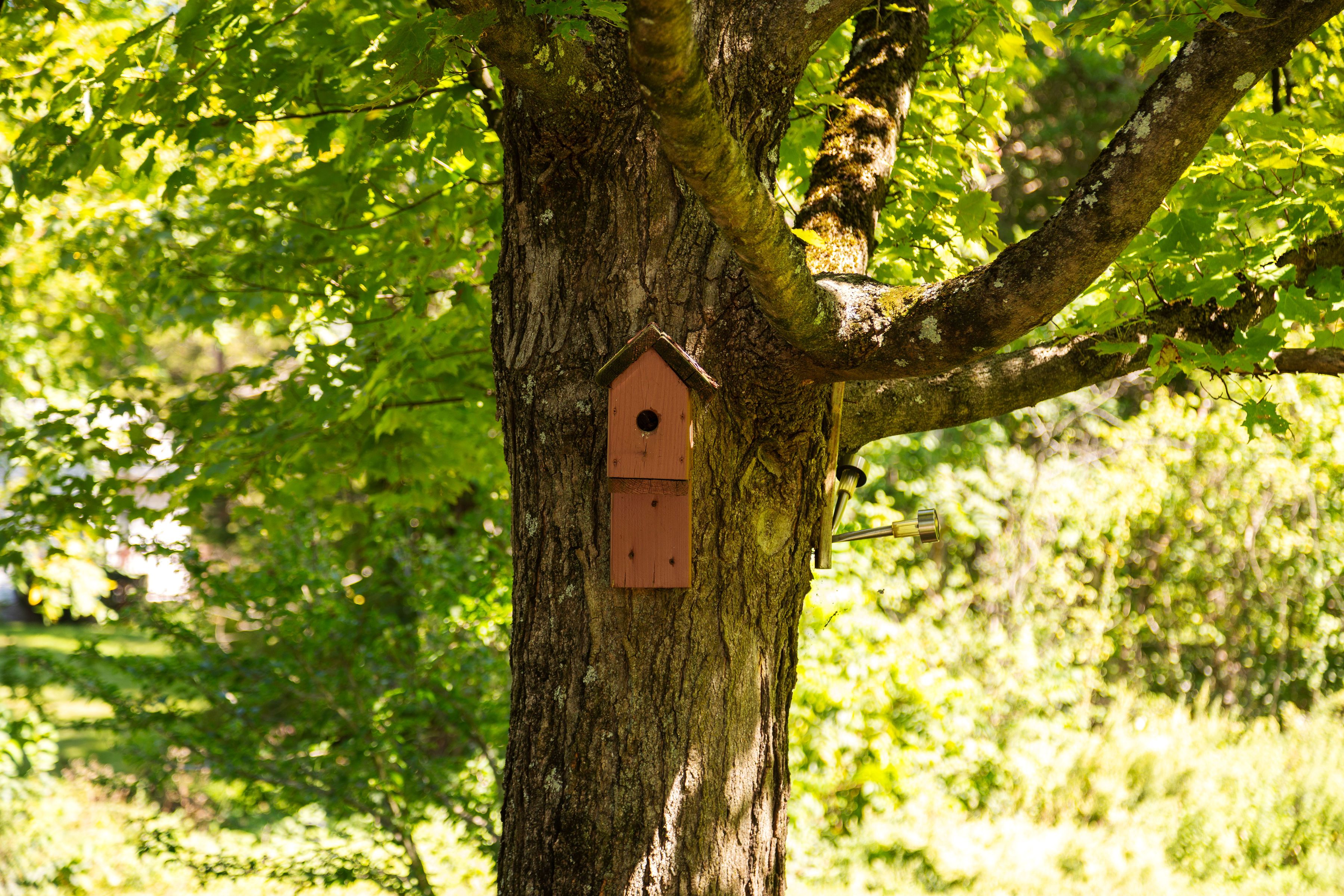  16 Peoples Road, Saugerties, NY 12477 - 物件實景