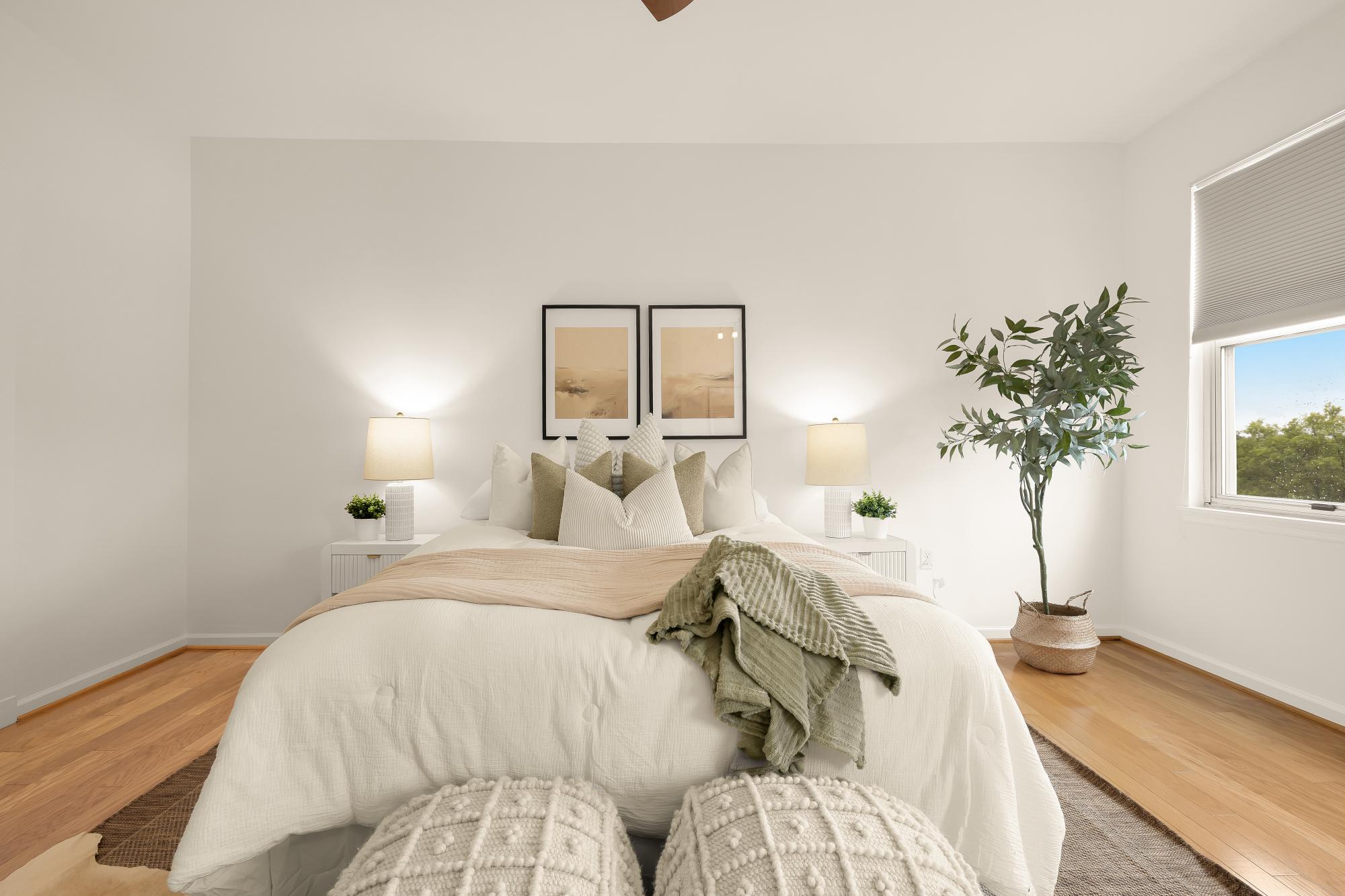  343 Cedar Street NW, Washington, DC, 20012 - 物件實景