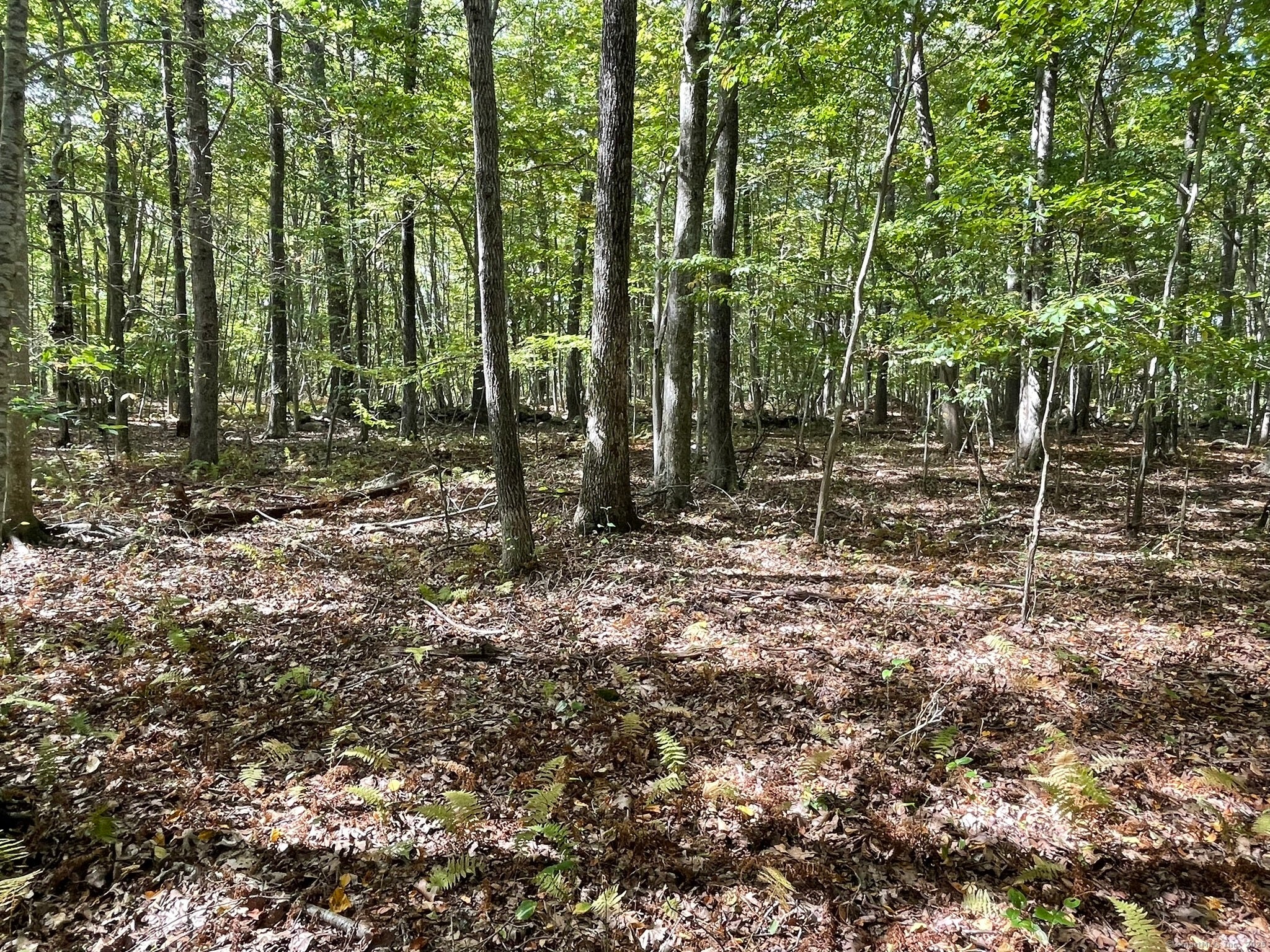 Old Lyme, Connecticut, 06371, United States, ,Land,For Sale,1979689