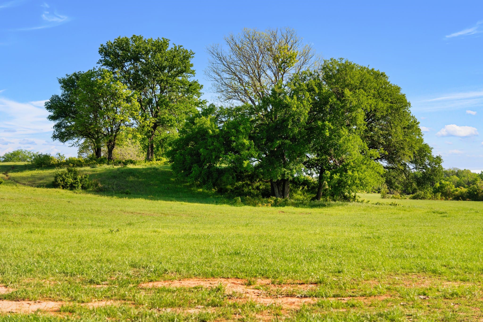 Alvord, Texas, 76225, United States, ,Land,For Sale,1751620