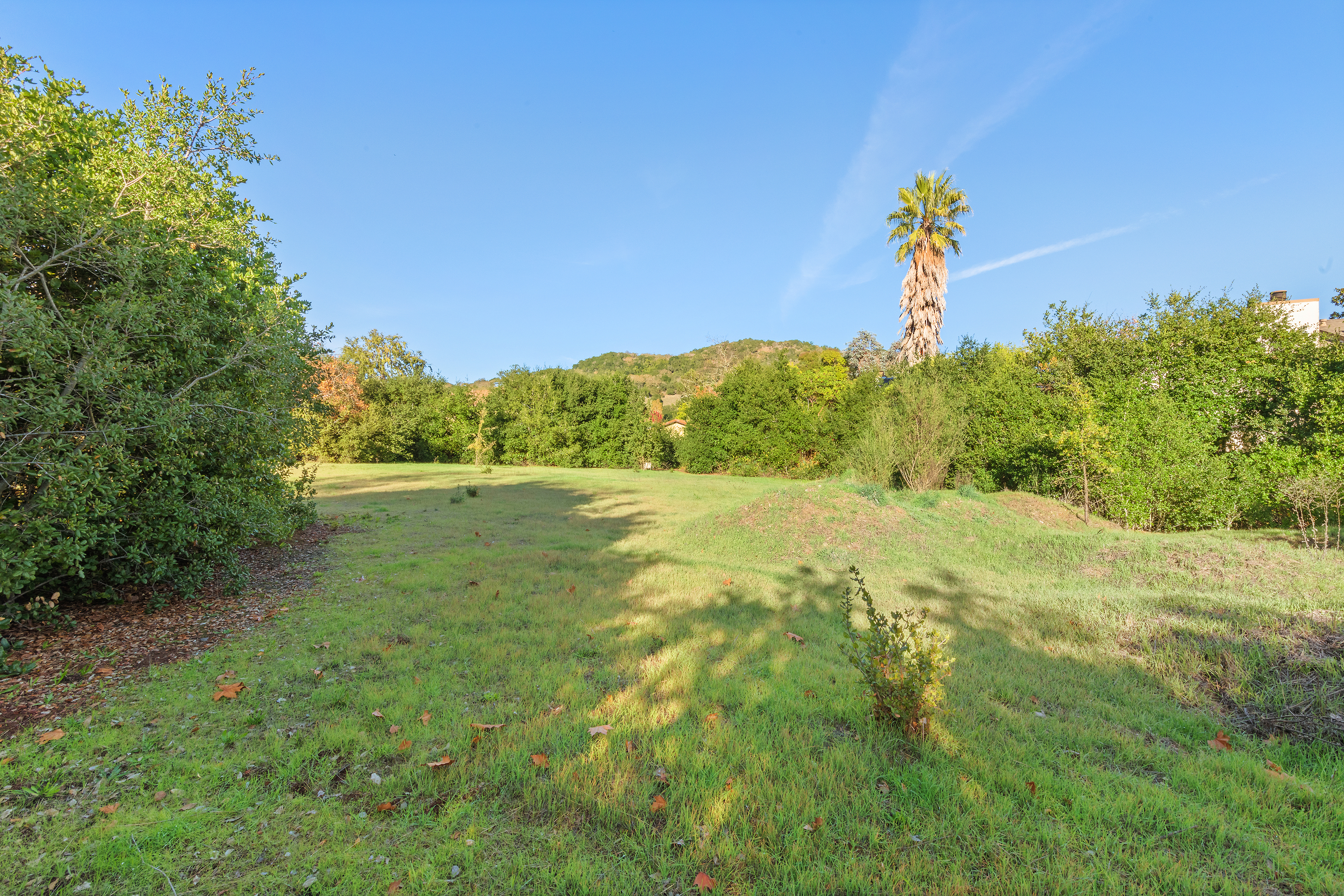  Entitled 31 Unit Luxury Condo Development Near Downtown Sonoma Plaza - 物件實景