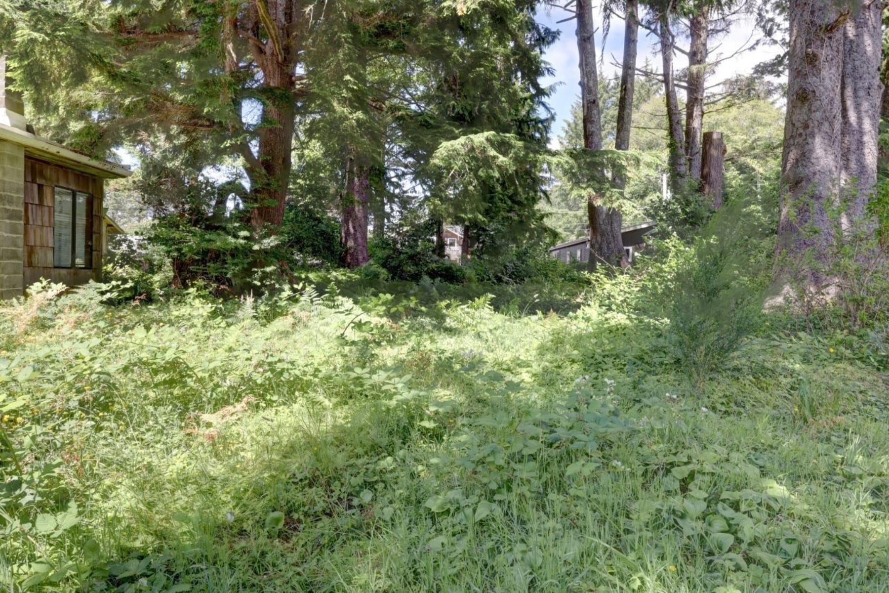  216 E Harrison ST Cannon Beach, OR 97110 - 物件實景