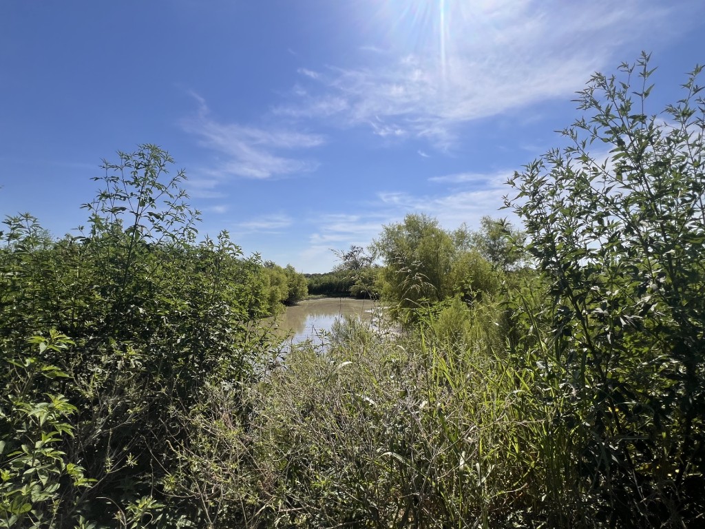 Granger, Texas, 76530, United States, ,Land,For Sale,1903654