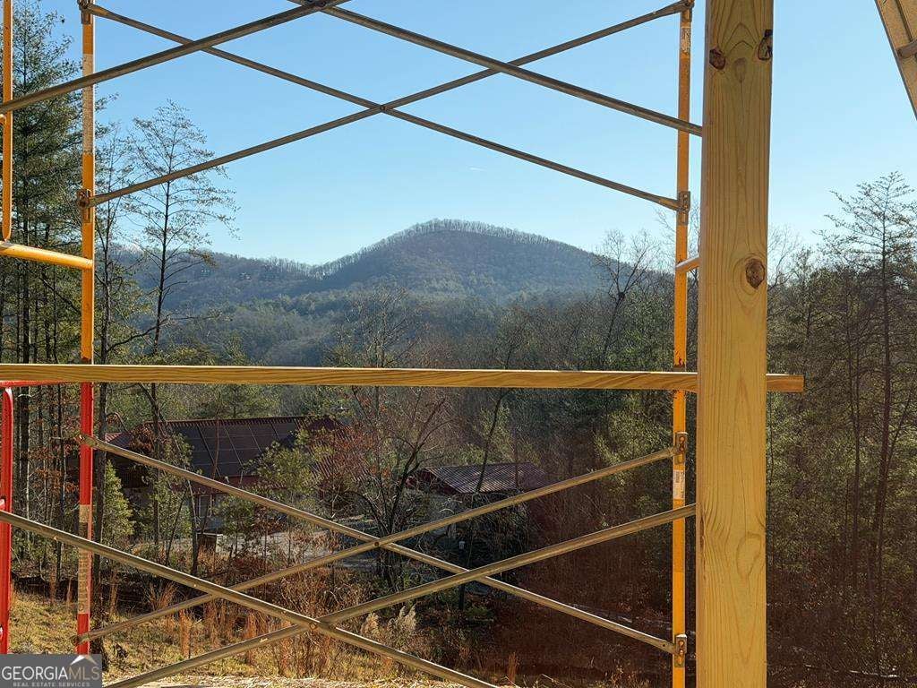 Mineral Bluff, Georgia, 30559, United States, 3 Bedrooms Bedrooms, ,3 BathroomsBathrooms,Residential,For Sale,2006600