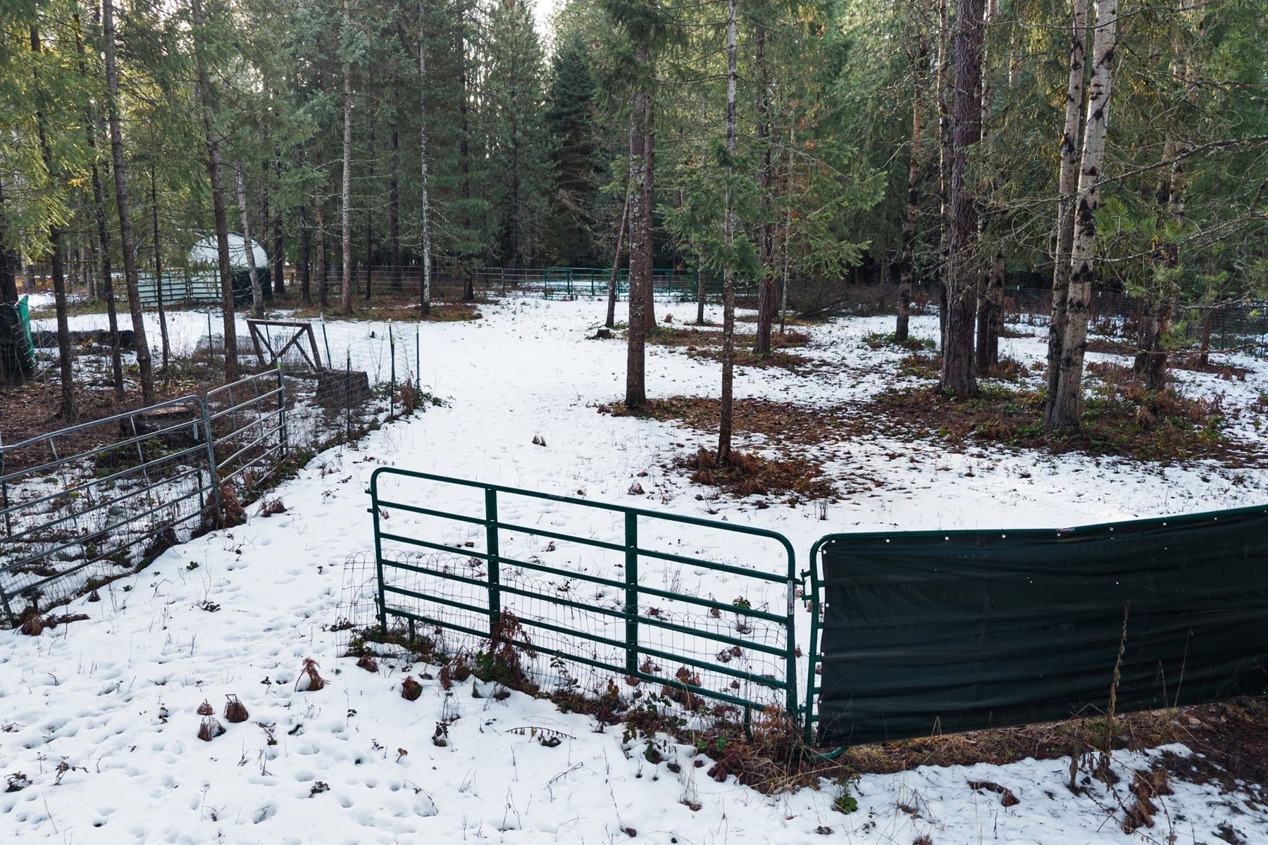  Charming Country Home on 10 Acres - 物件實景