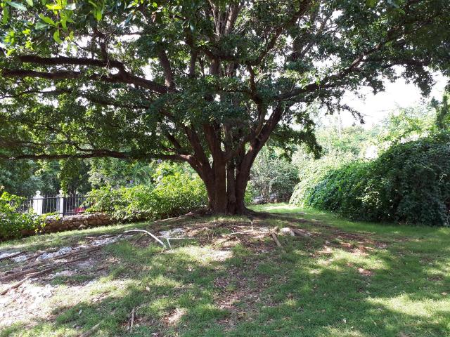 Kingston & St. Andrew, JM, 4 Bedrooms Bedrooms, ,5 BathroomsBathrooms,Residential,For Sale,1615791