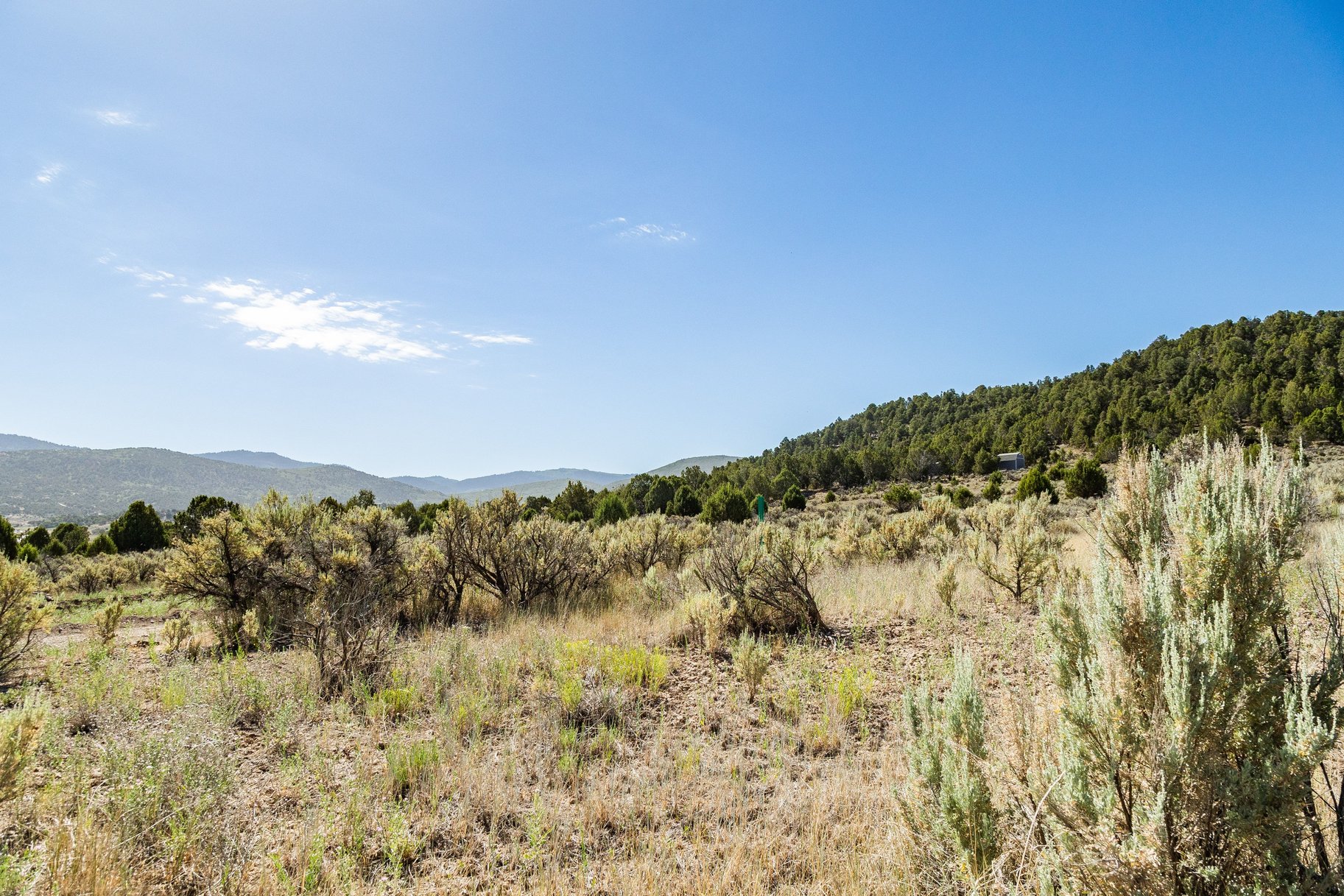  Mountain Living  STR Approved  1.01 Acres - 物件實景