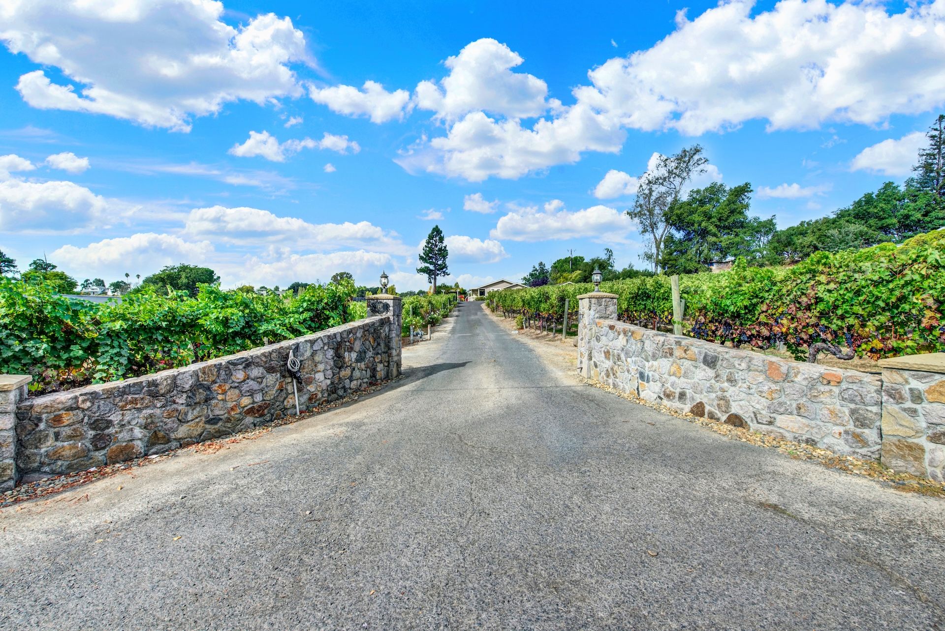  Classic Wine Country Setting - 物件實景