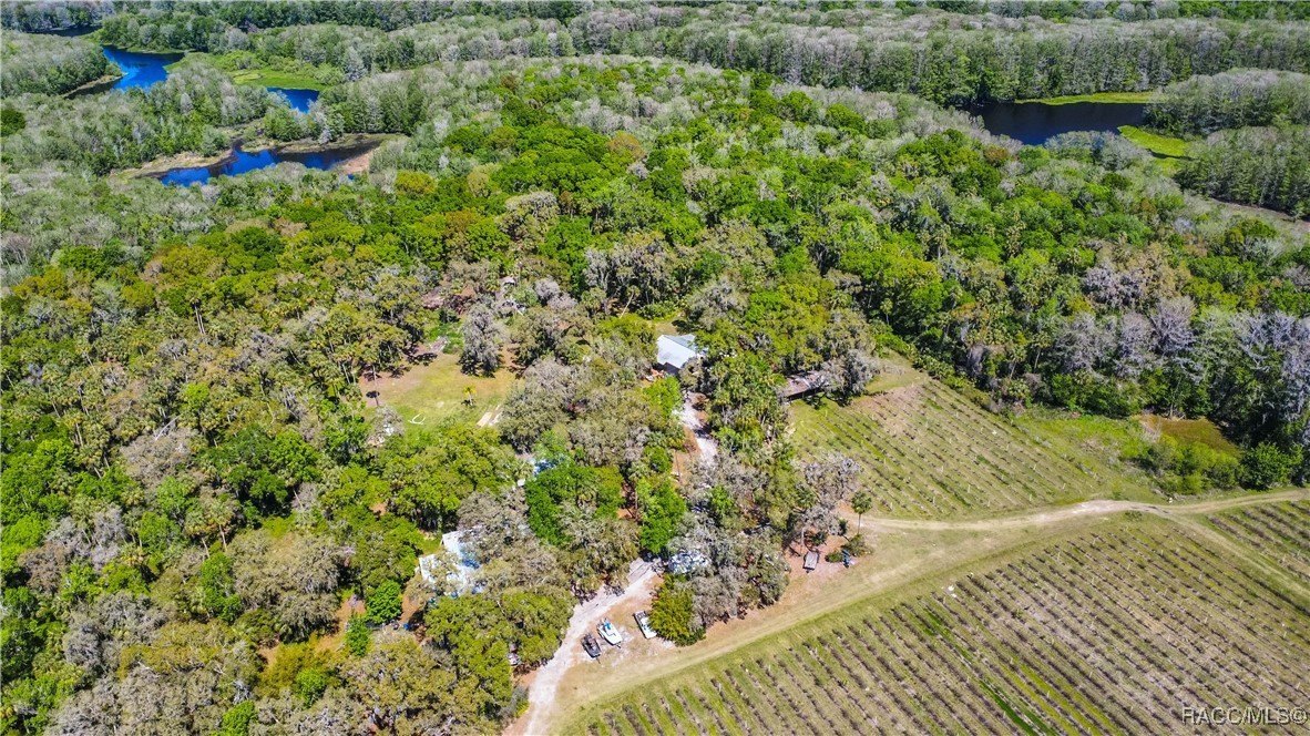 Inverness, Florida, 34450, United States, 3 Bedrooms Bedrooms, ,2 BathroomsBathrooms,Residential,For Sale,1881074